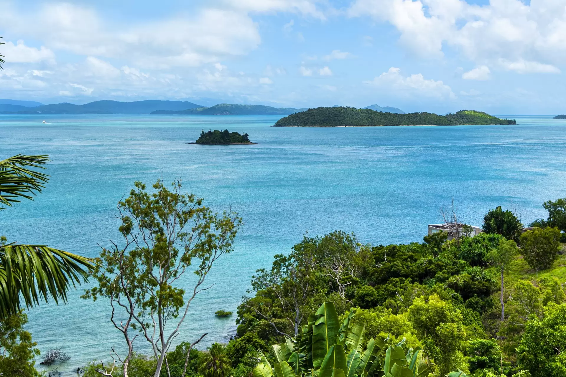 11/7 Acacia Drive, Hamilton Island Sold by Queensland Sotheby's International Realty - image 1