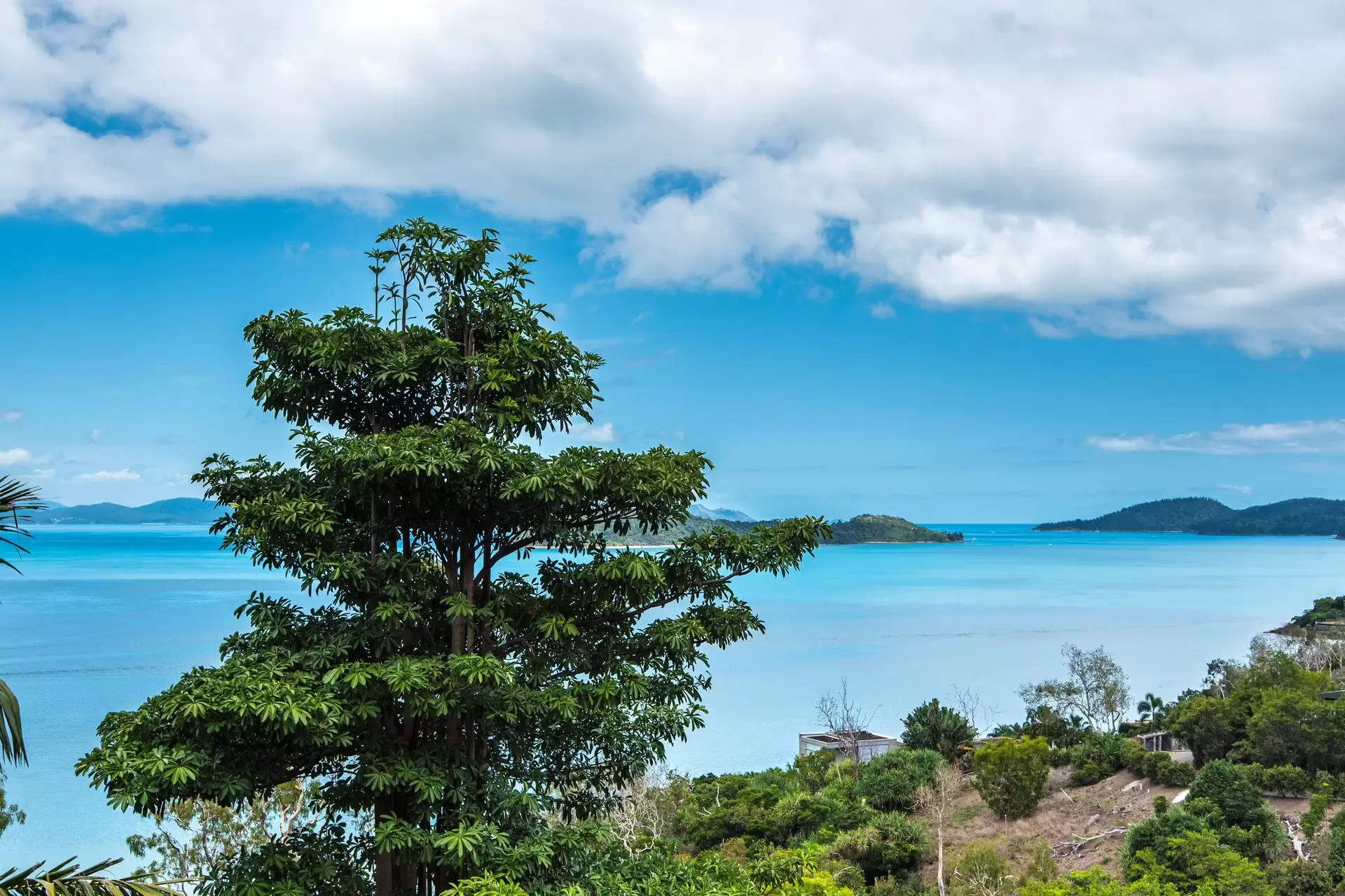 11/7 Acacia Drive, Hamilton Island Sold by Queensland Sotheby's International Realty - image 1