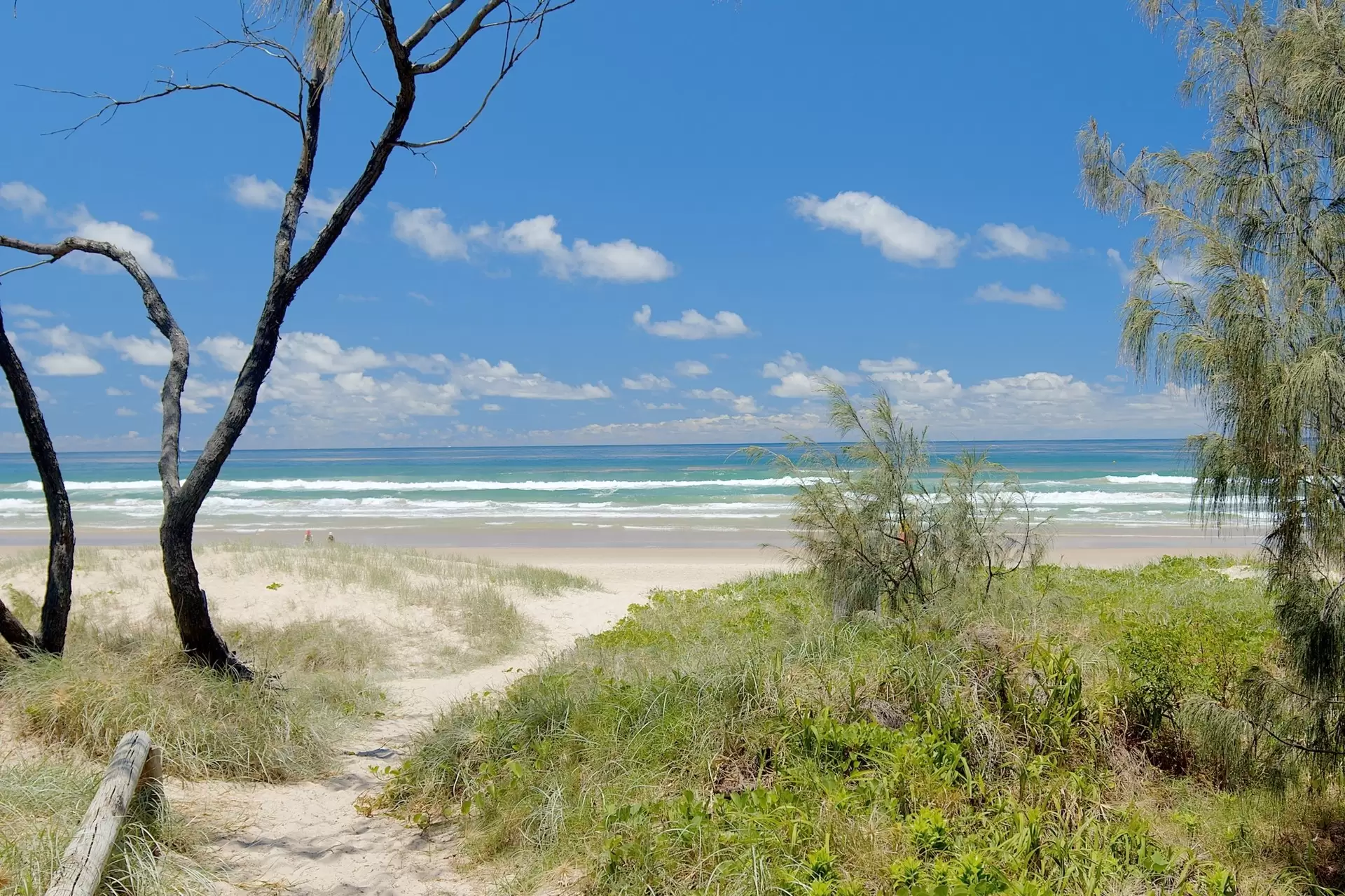 119 Balgownie Drive, Peregian Springs Sold by Queensland Sotheby's International Realty - image 1