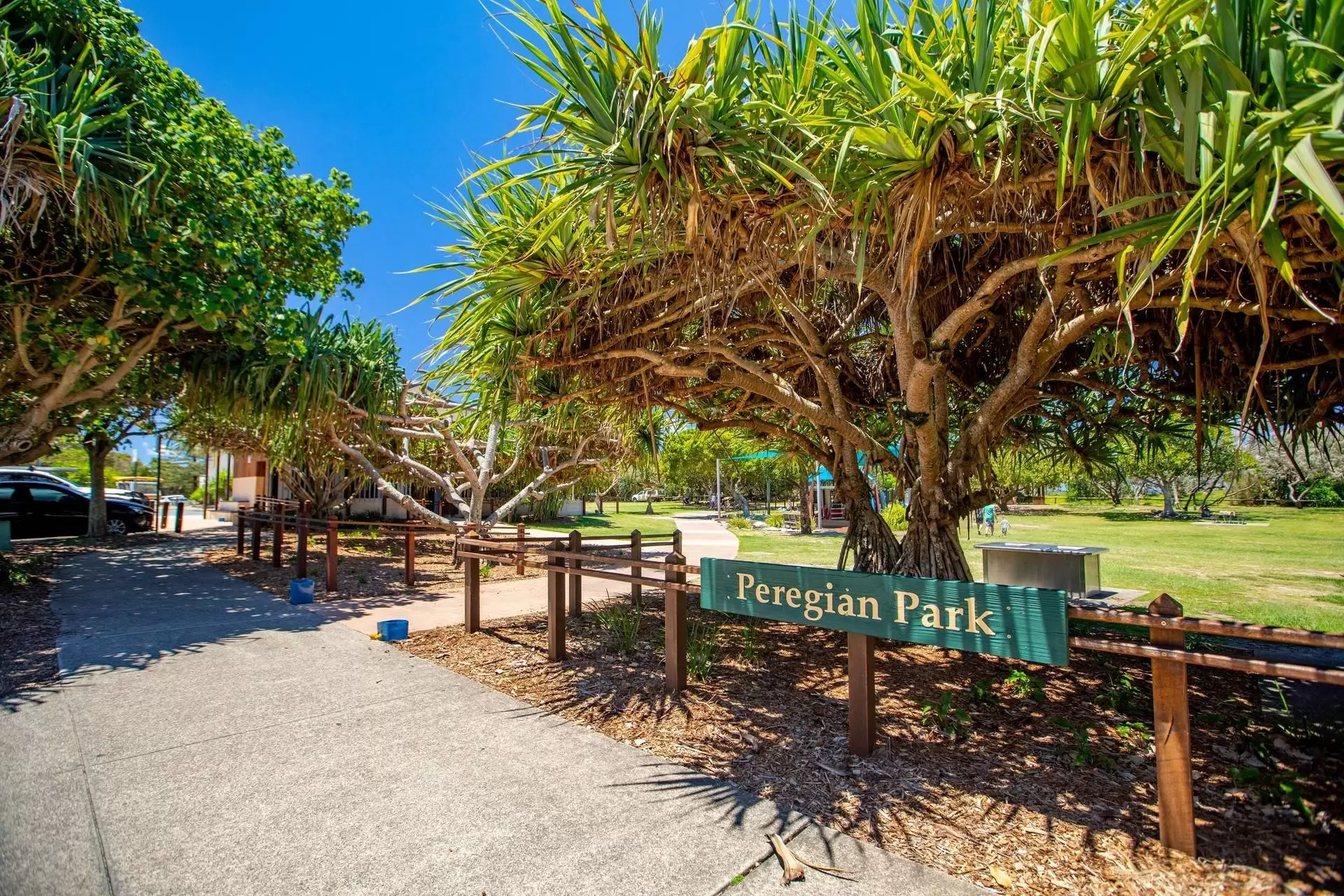 119 Balgownie Drive, Peregian Springs Sold by Queensland Sotheby's International Realty - image 1