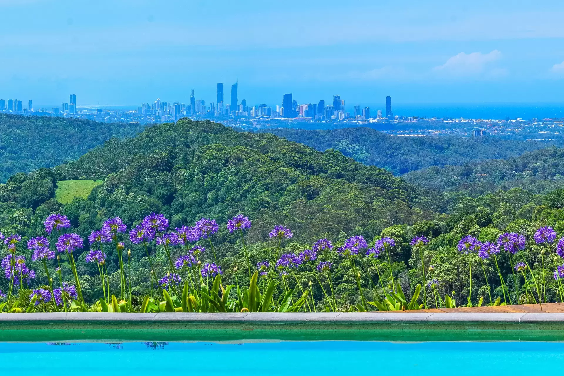 640 Trees Road, Tallebudgera Sold by Queensland Sotheby's International Realty - image 1