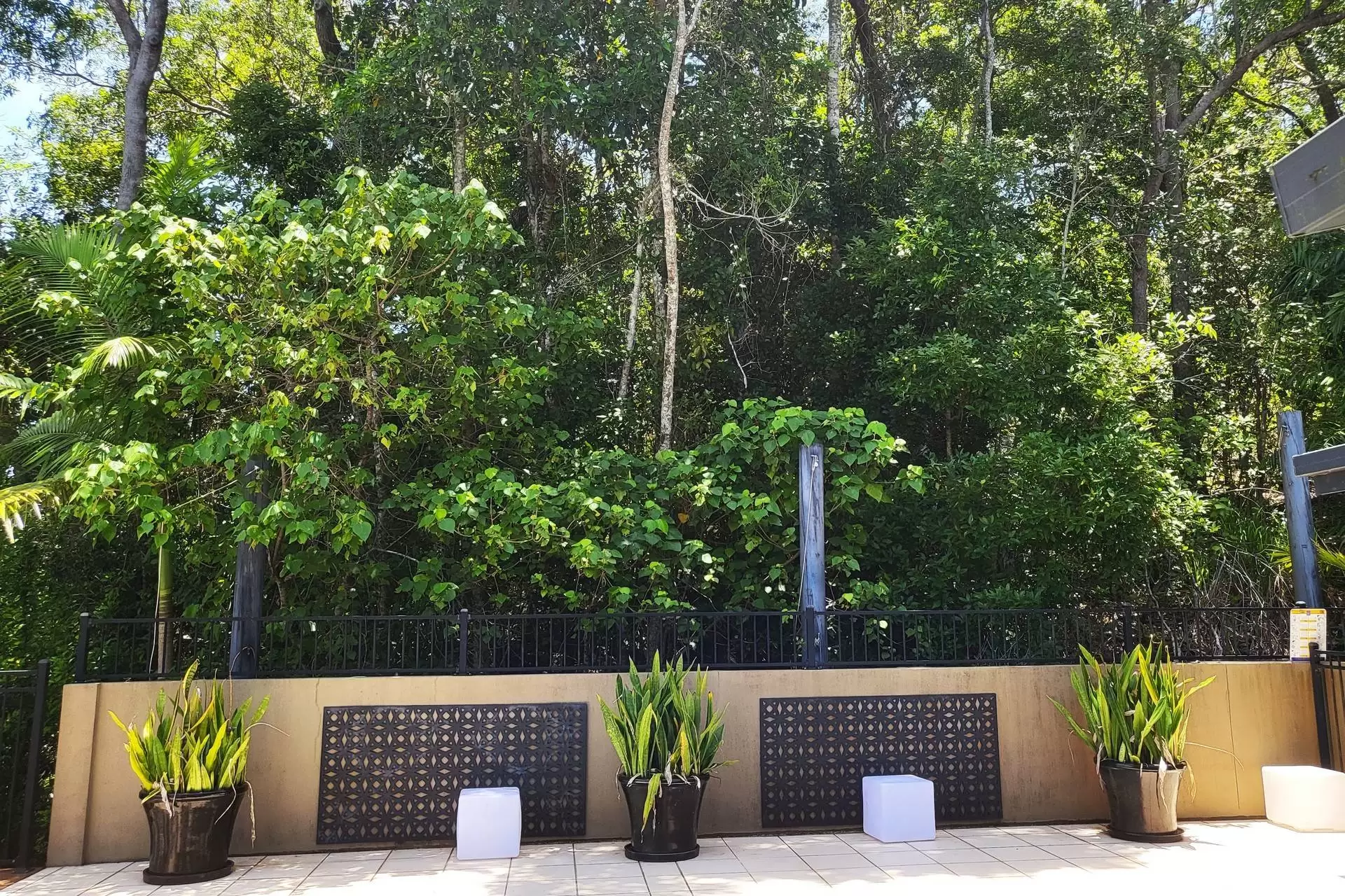 273 Shute Harbour Road, Mount Julian Sold by Queensland Sotheby's International Realty - image 1