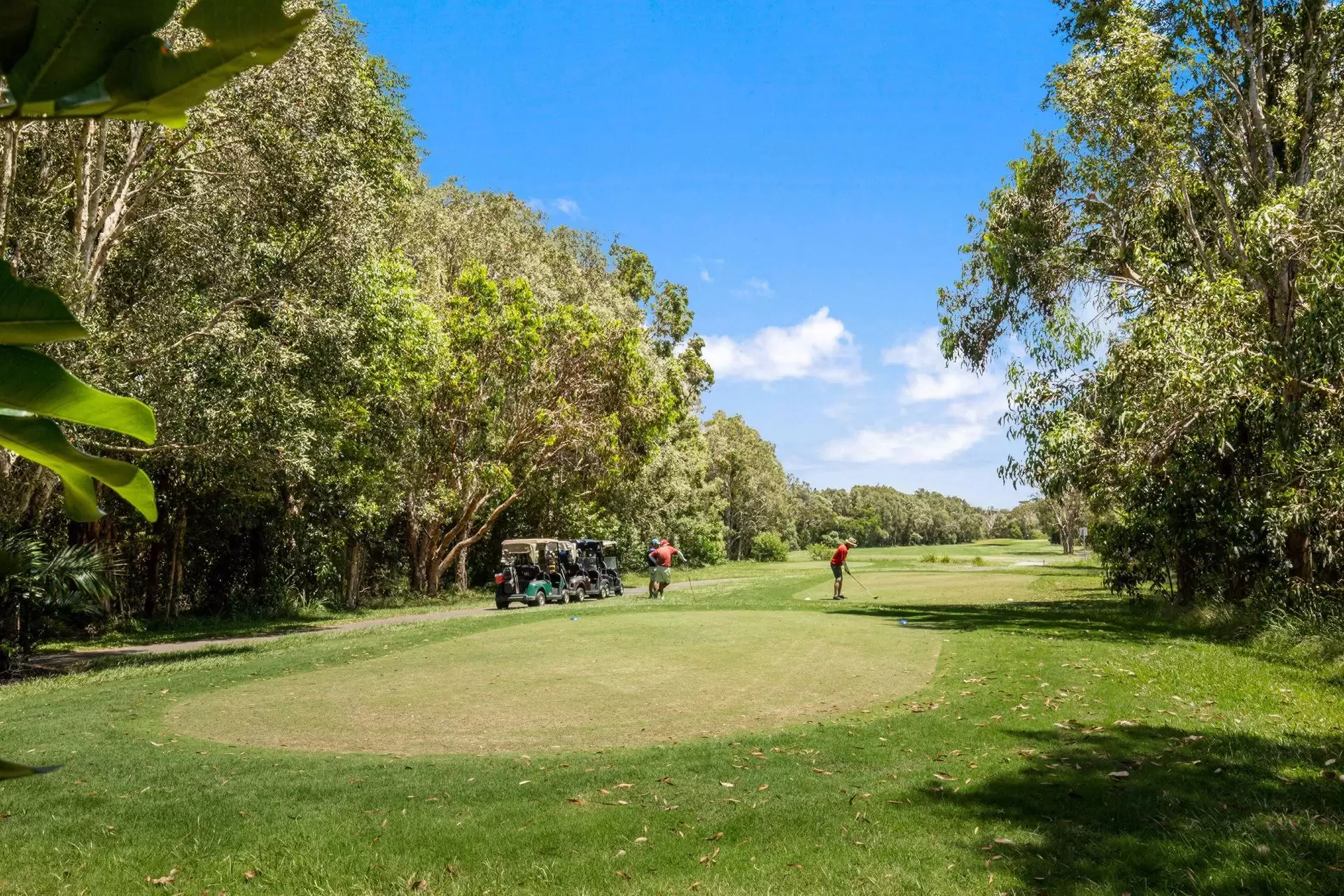 19 Greenside Court, Peregian Springs Sold by Queensland Sotheby's International Realty - image 1