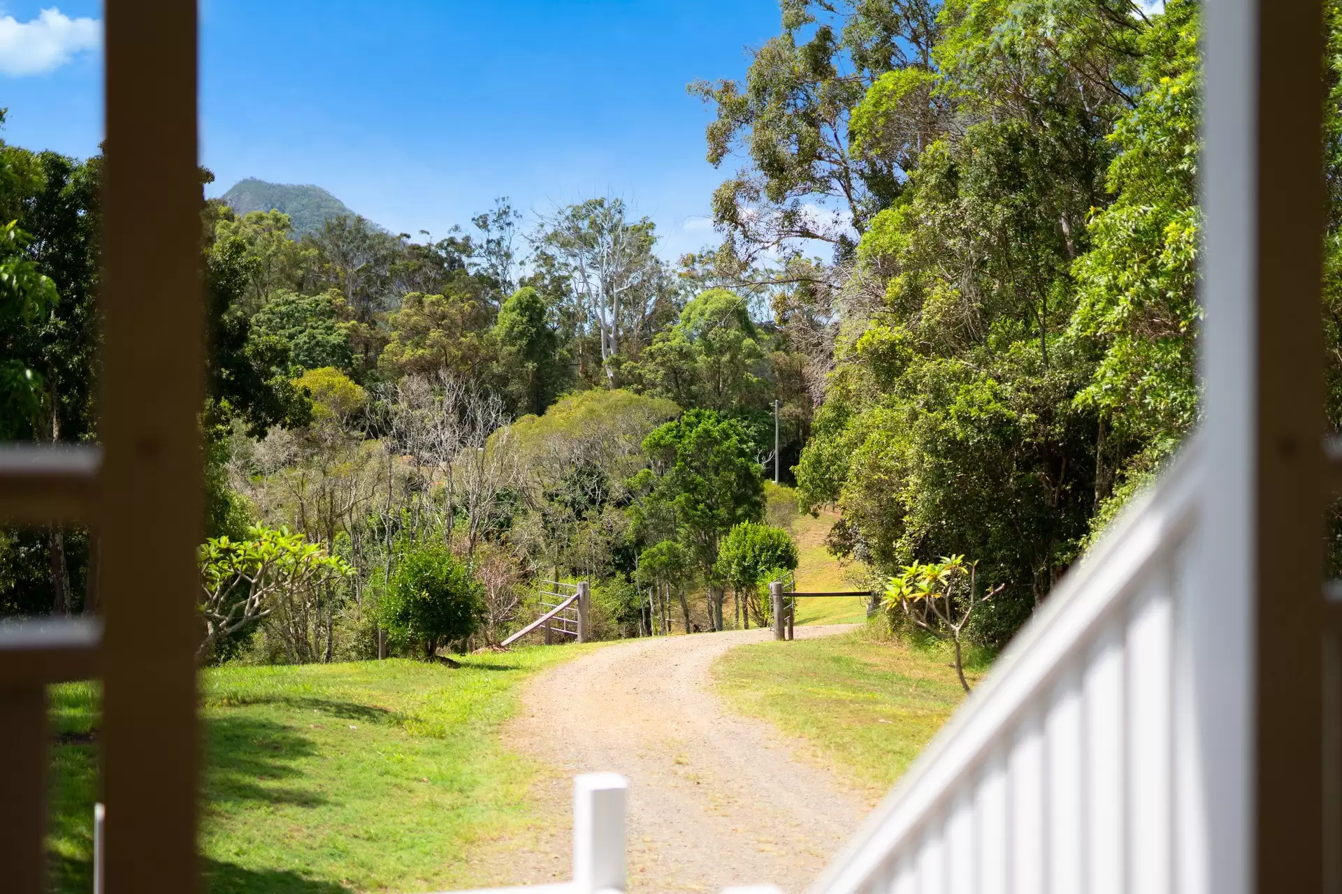 203 Sankeys Road, Cooran Sold by Queensland Sotheby's International Realty - image 1
