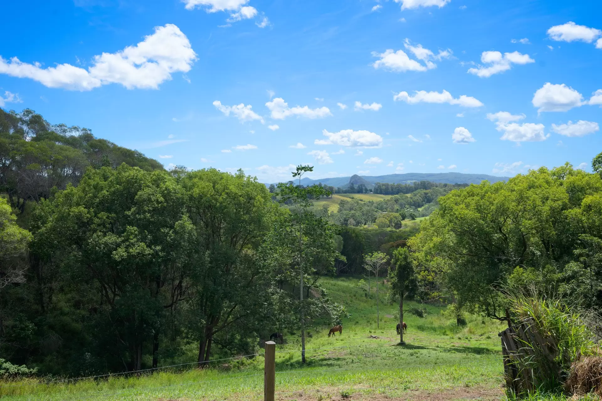 203 Sankeys Road, Cooran Sold by Queensland Sotheby's International Realty - image 1