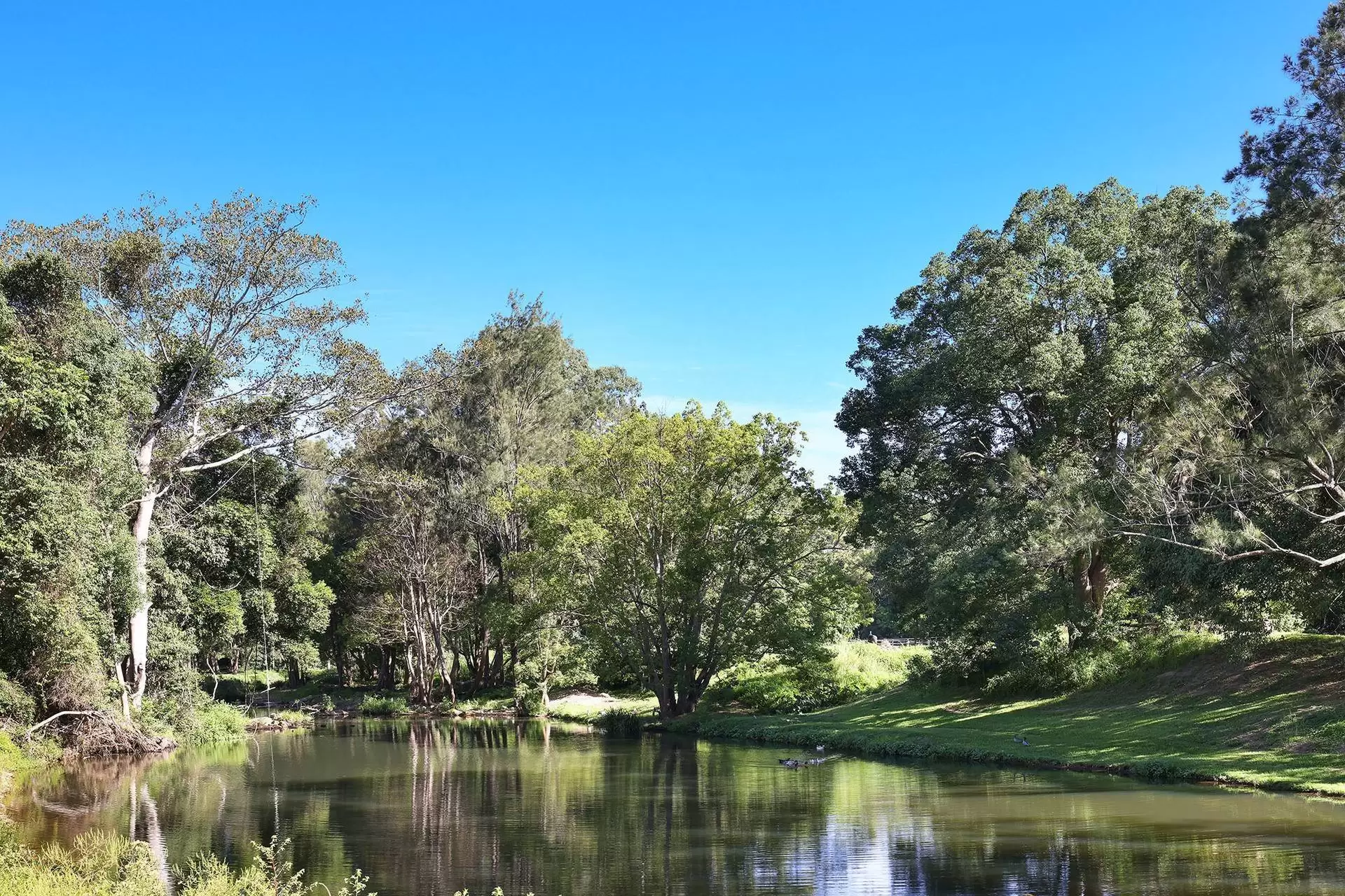 52 Coorabin Court, Tallebudgera Sold by Queensland Sotheby's International Realty - image 1