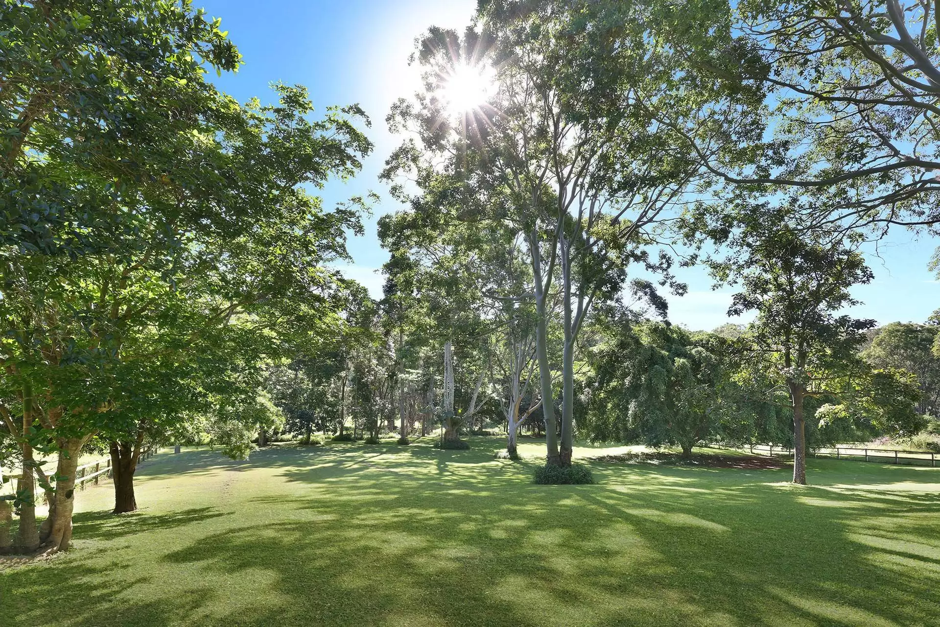 52 Coorabin Court, Tallebudgera Sold by Queensland Sotheby's International Realty - image 1