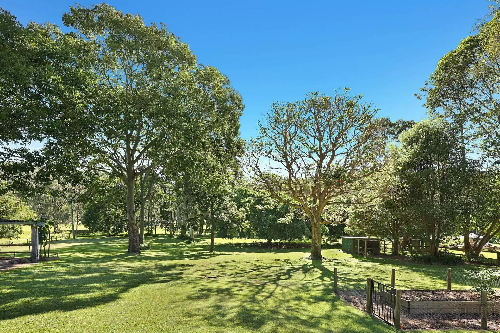 52 Coorabin Court, Tallebudgera Sold by Queensland Sotheby's International Realty - image 1