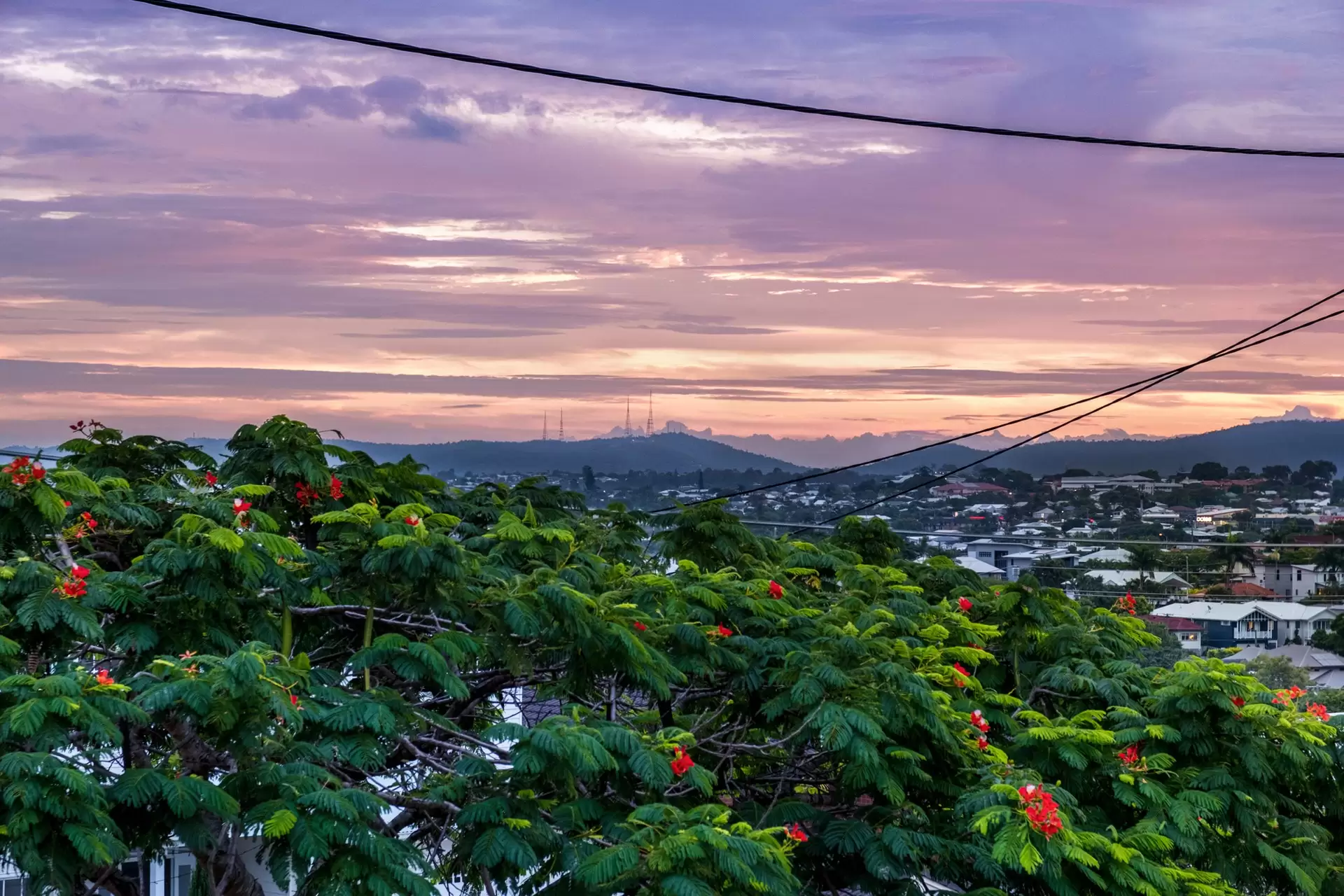 39 Westwood Street, Wavell Heights Sold by Queensland Sotheby's International Realty - image 1