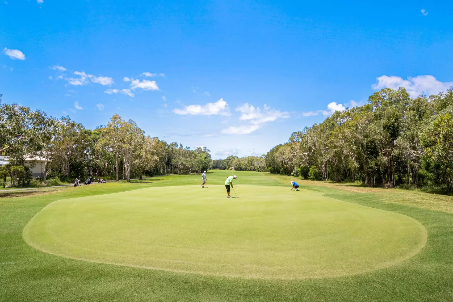 15 Feathertail Place, Peregian Springs Sold by Queensland Sotheby's International Realty - image 1