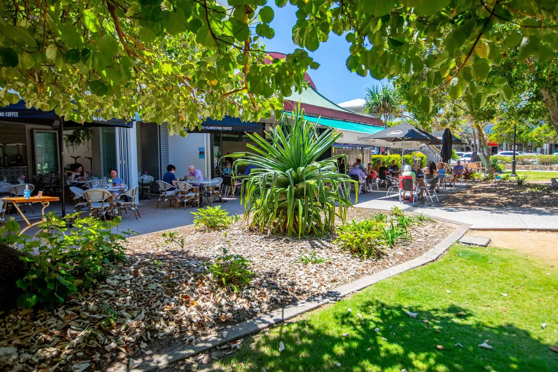 15 Feathertail Place, Peregian Springs Sold by Queensland Sotheby's International Realty - image 1