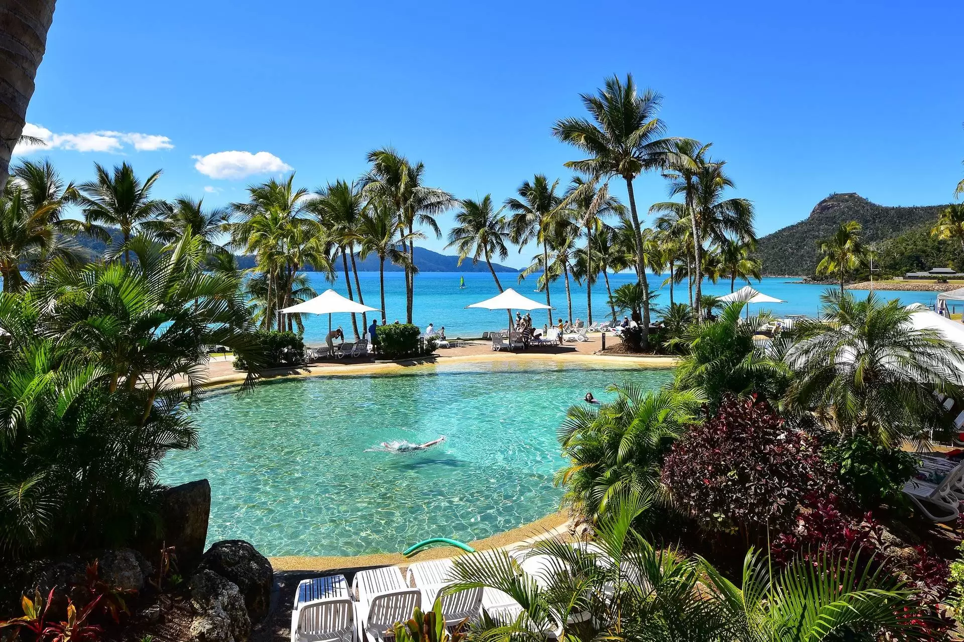 104/16 Resort Drive, Hamilton Island Sold by Queensland Sotheby's International Realty - image 1