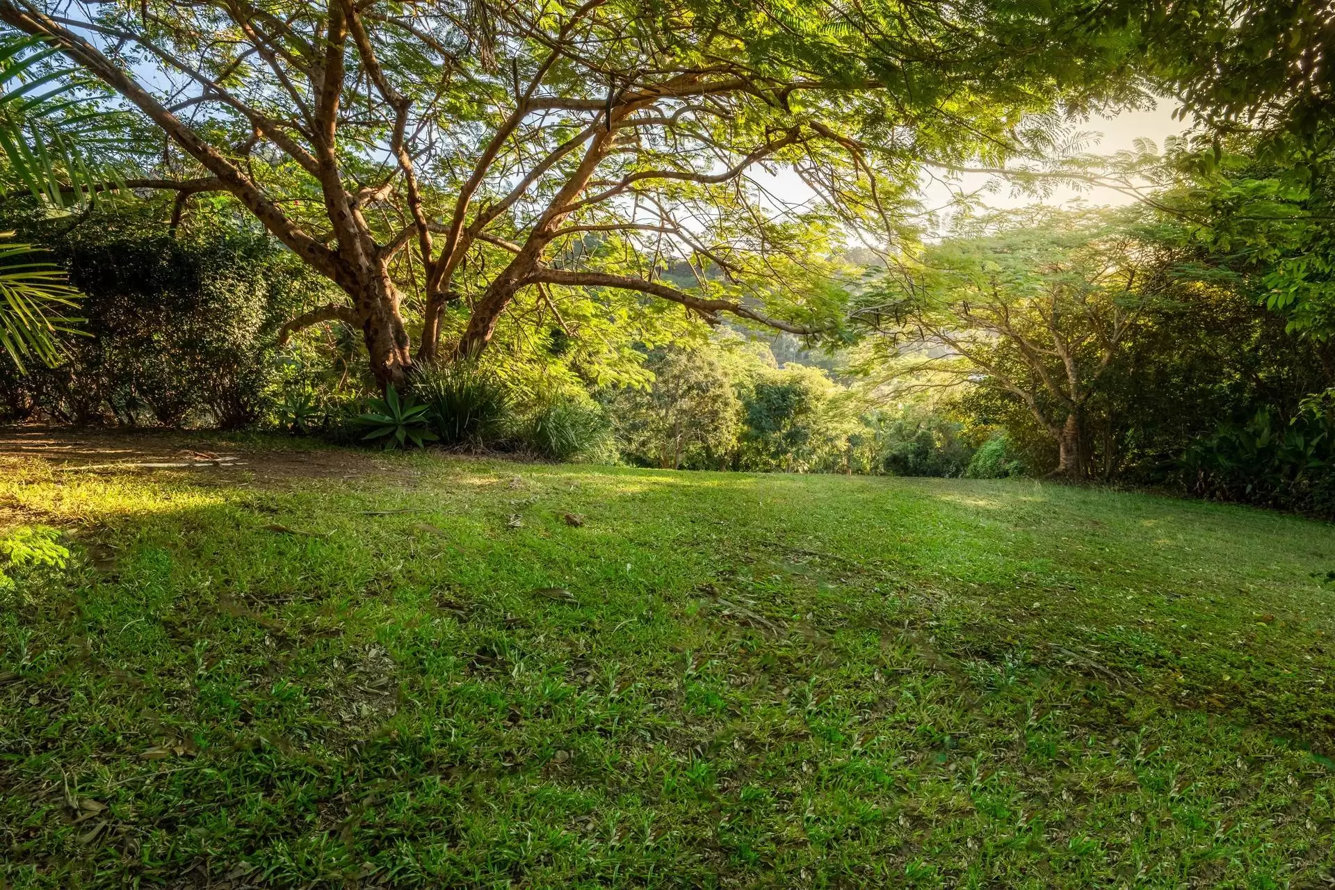 9 Bellview Close, Cannon Valley Sold by Queensland Sotheby's International Realty - image 1