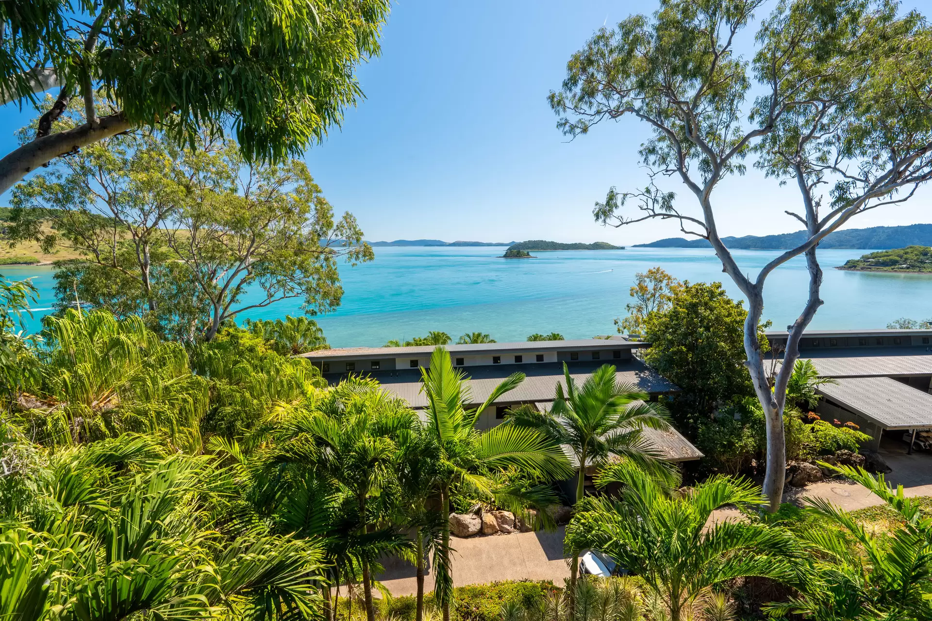 5 Acacia Drive, Hamilton Island Sold by Queensland Sotheby's International Realty - image 1