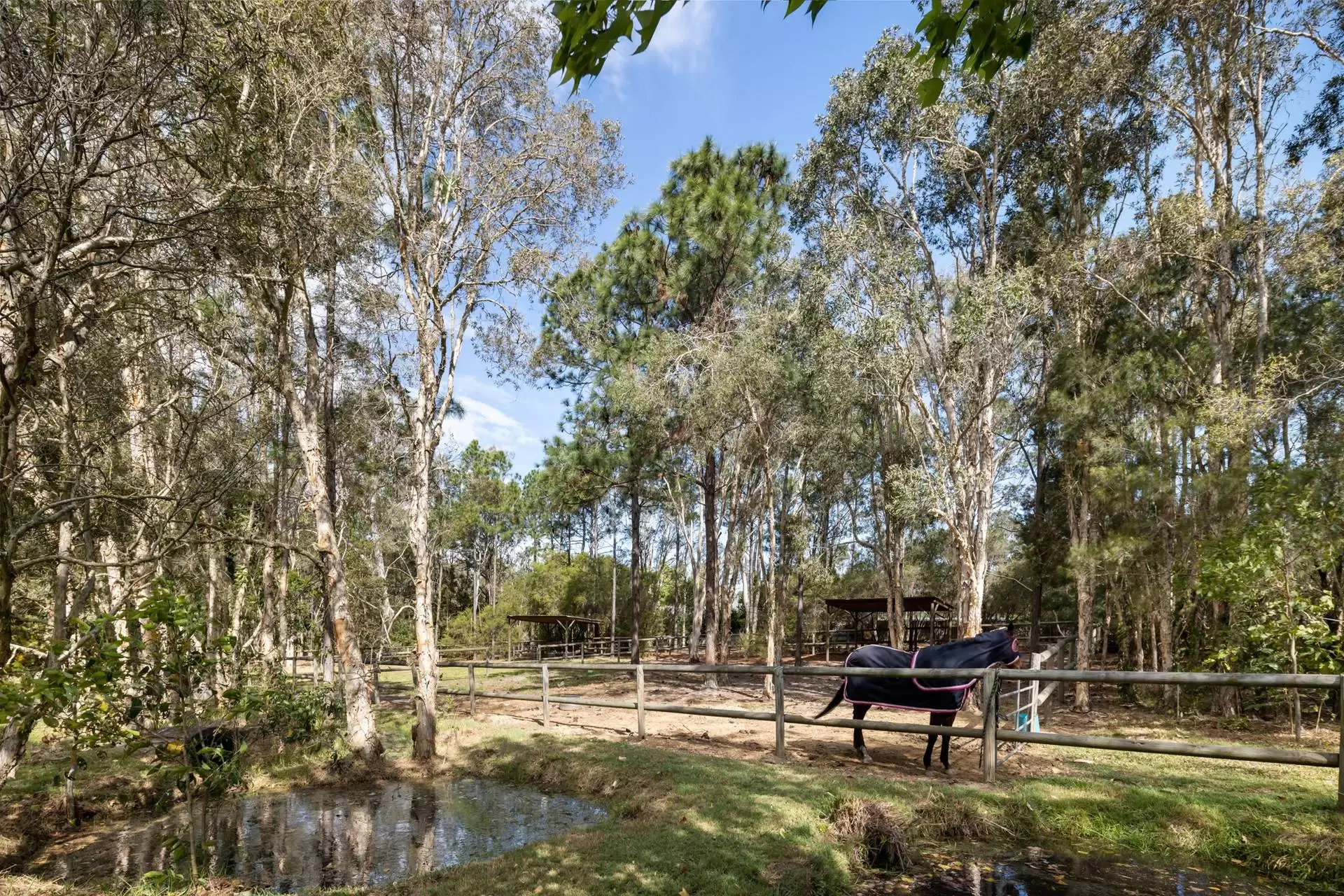 181 Bacton Road, Chandler Sold by Queensland Sotheby's International Realty - image 1