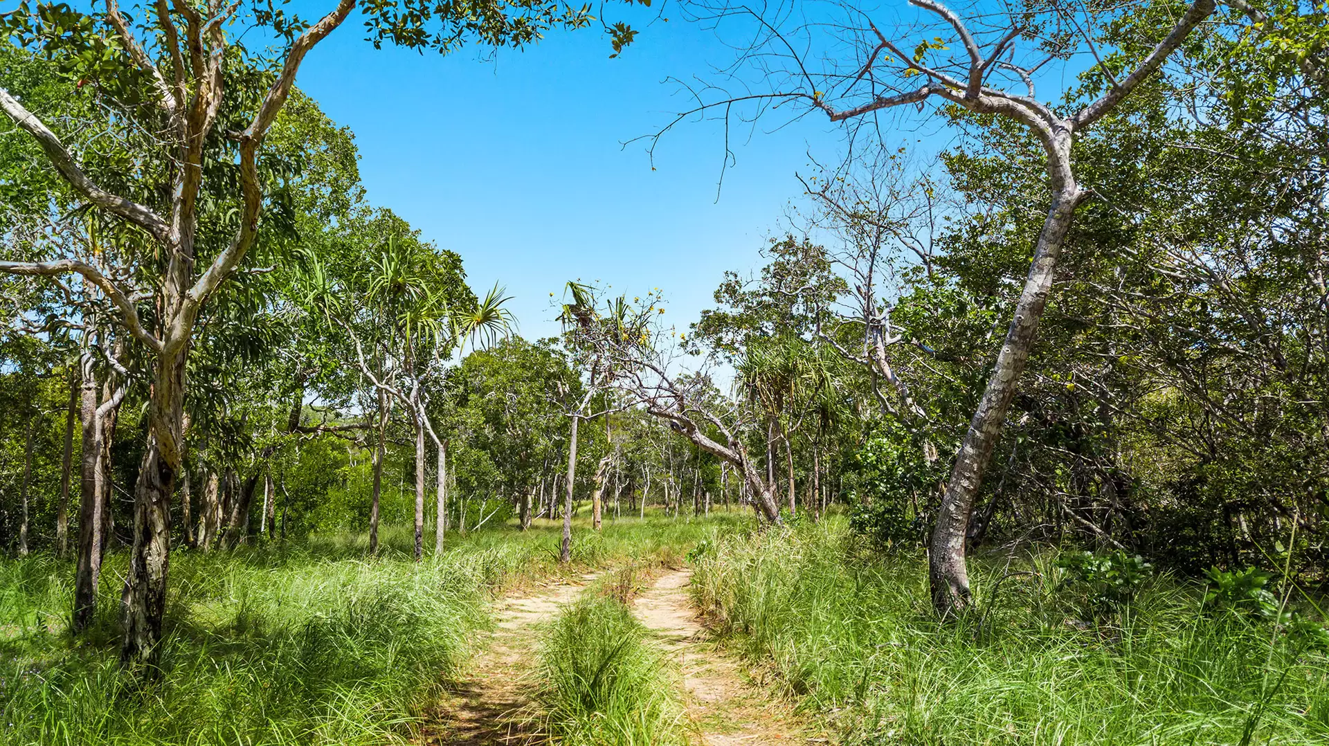 3 Utingu Private Road Road, New Mapoon For Sale by Queensland Sotheby's International Realty - image 1