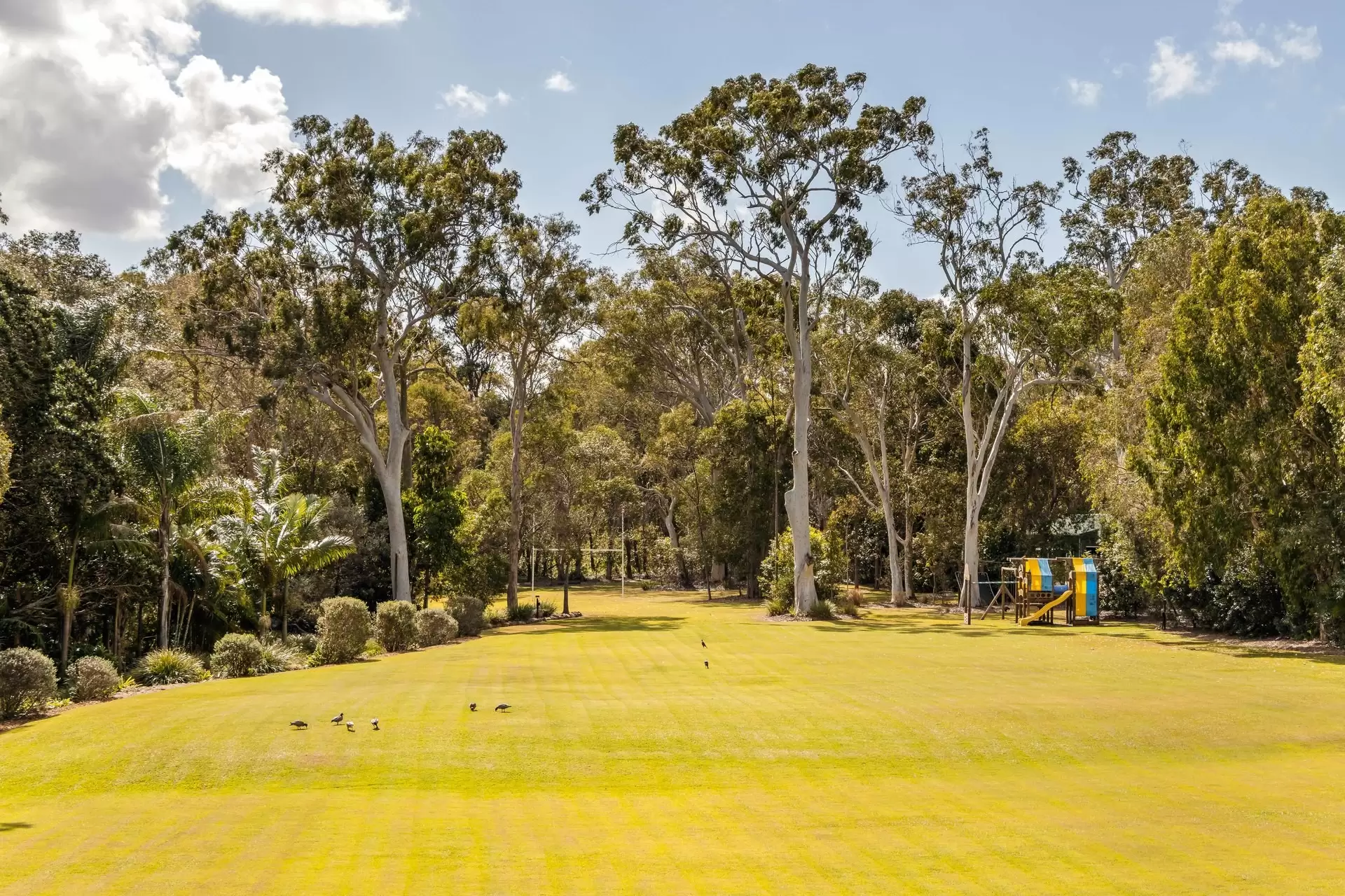 170 Boston Road, Belmont Sold by Queensland Sotheby's International Realty - image 1