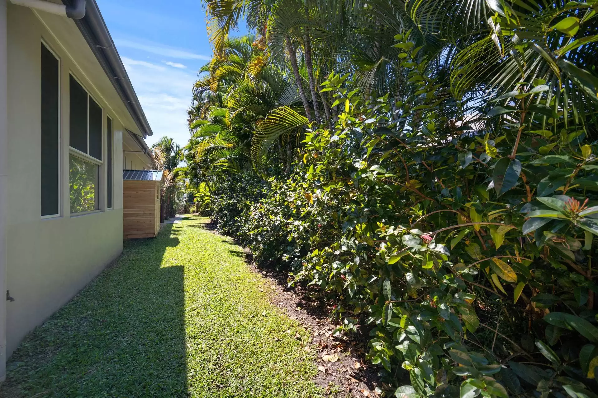 31 Ulysses Avenue, Port Douglas Sold by Queensland Sotheby's International Realty - image 1