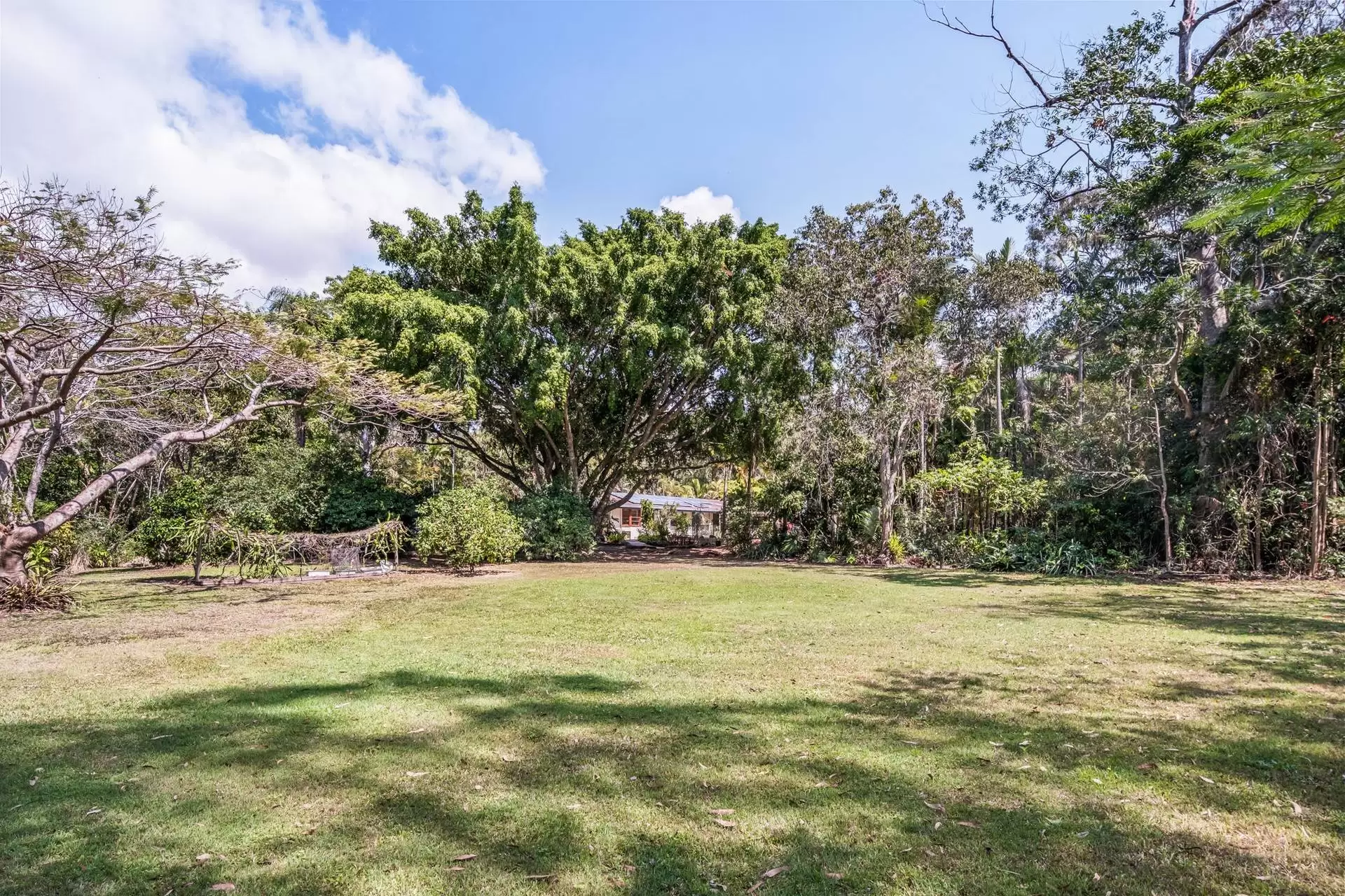 553 Grassdale Road, Gumdale Sold by  - image 1