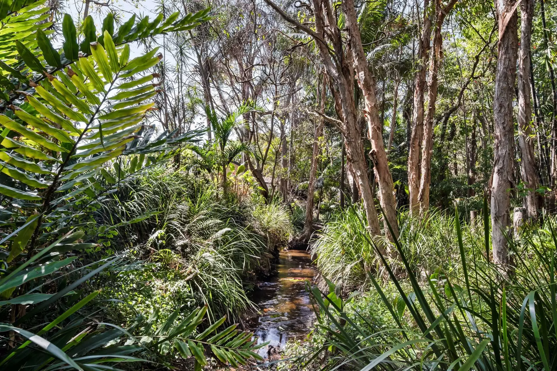 553 Grassdale Road, Gumdale Sold by Queensland Sotheby's International Realty - image 1