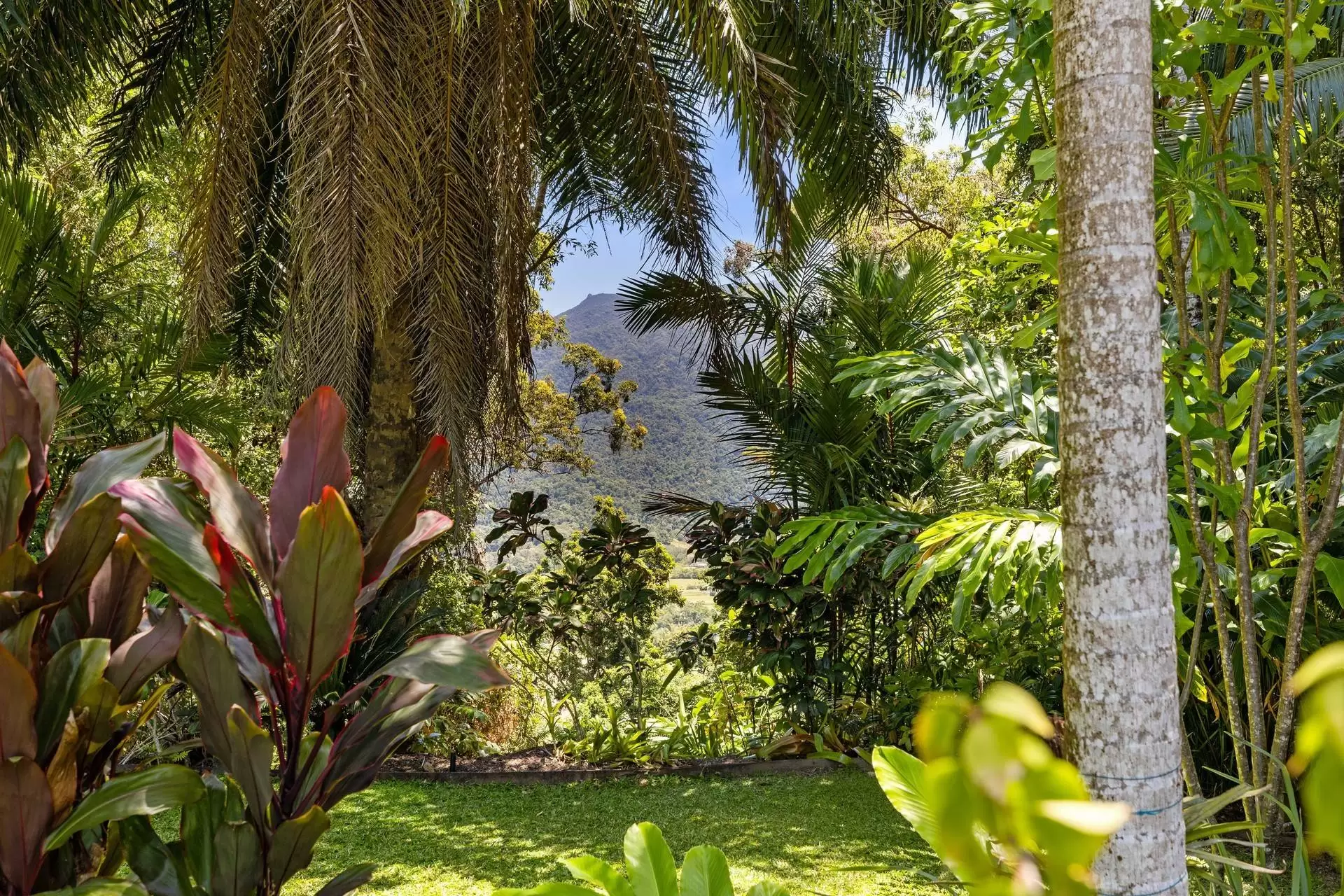198 Somerset Drive, Miallo Sold by Queensland Sotheby's International Realty - image 1