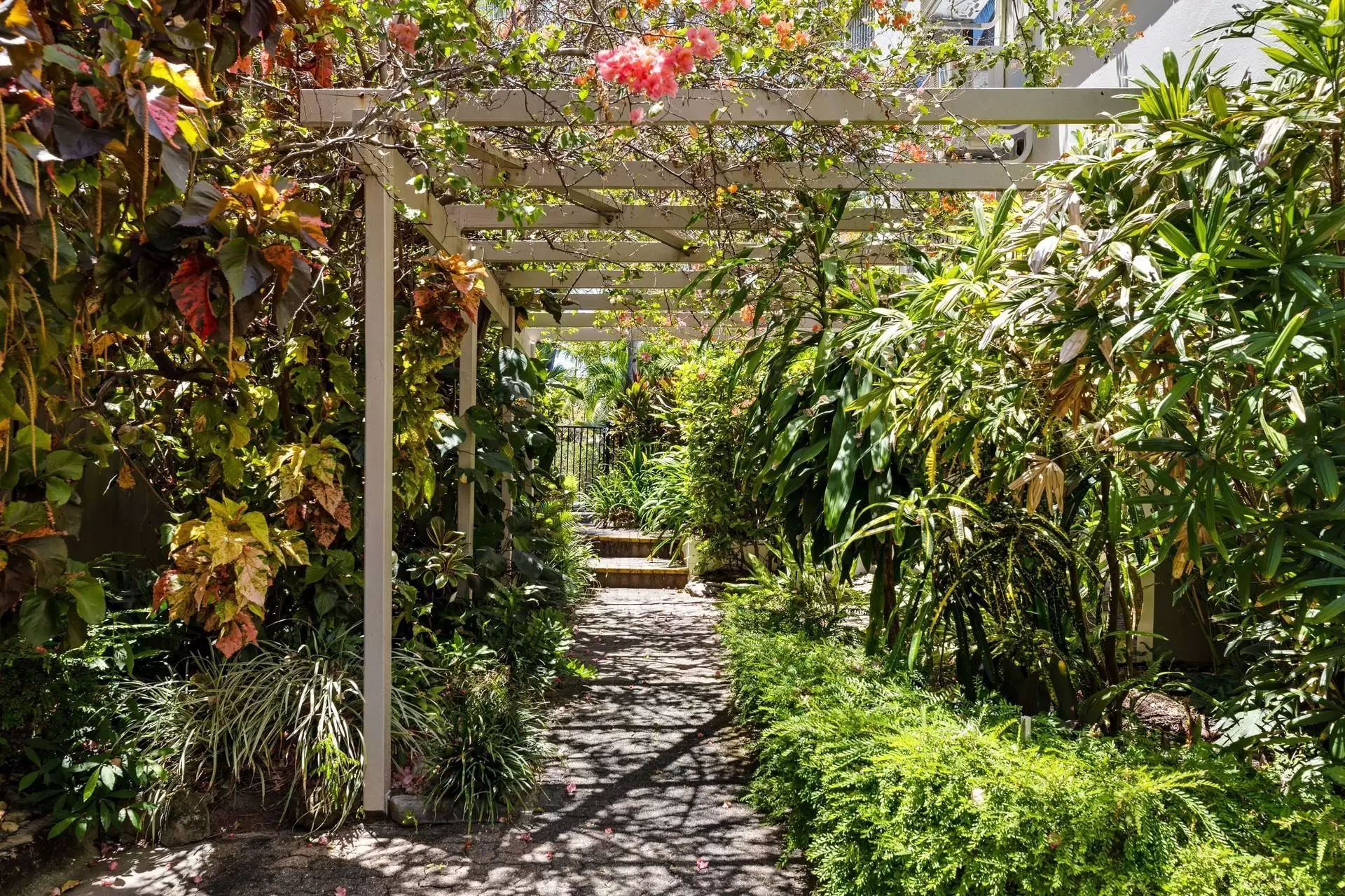 12/10 Davidson Street, Port Douglas Sold by Queensland Sotheby's International Realty - image 1