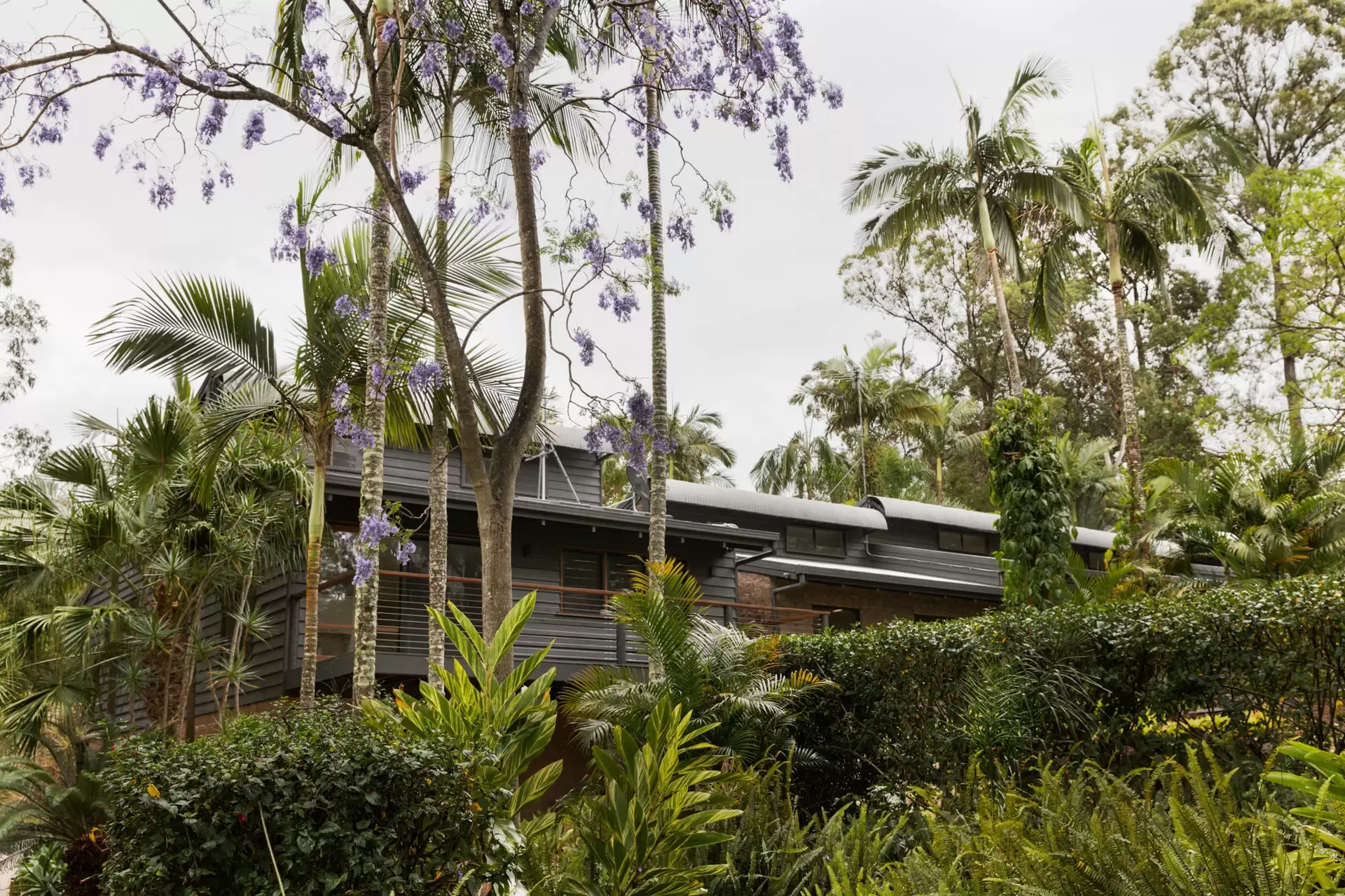 223 Moxon Road, Burbank Sold by Queensland Sotheby's International Realty - image 1