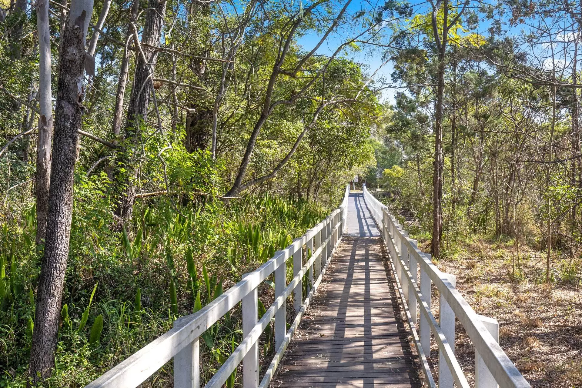 7 Cowrie Court, Burrum Heads Sold by Queensland Sotheby's International Realty - image 1