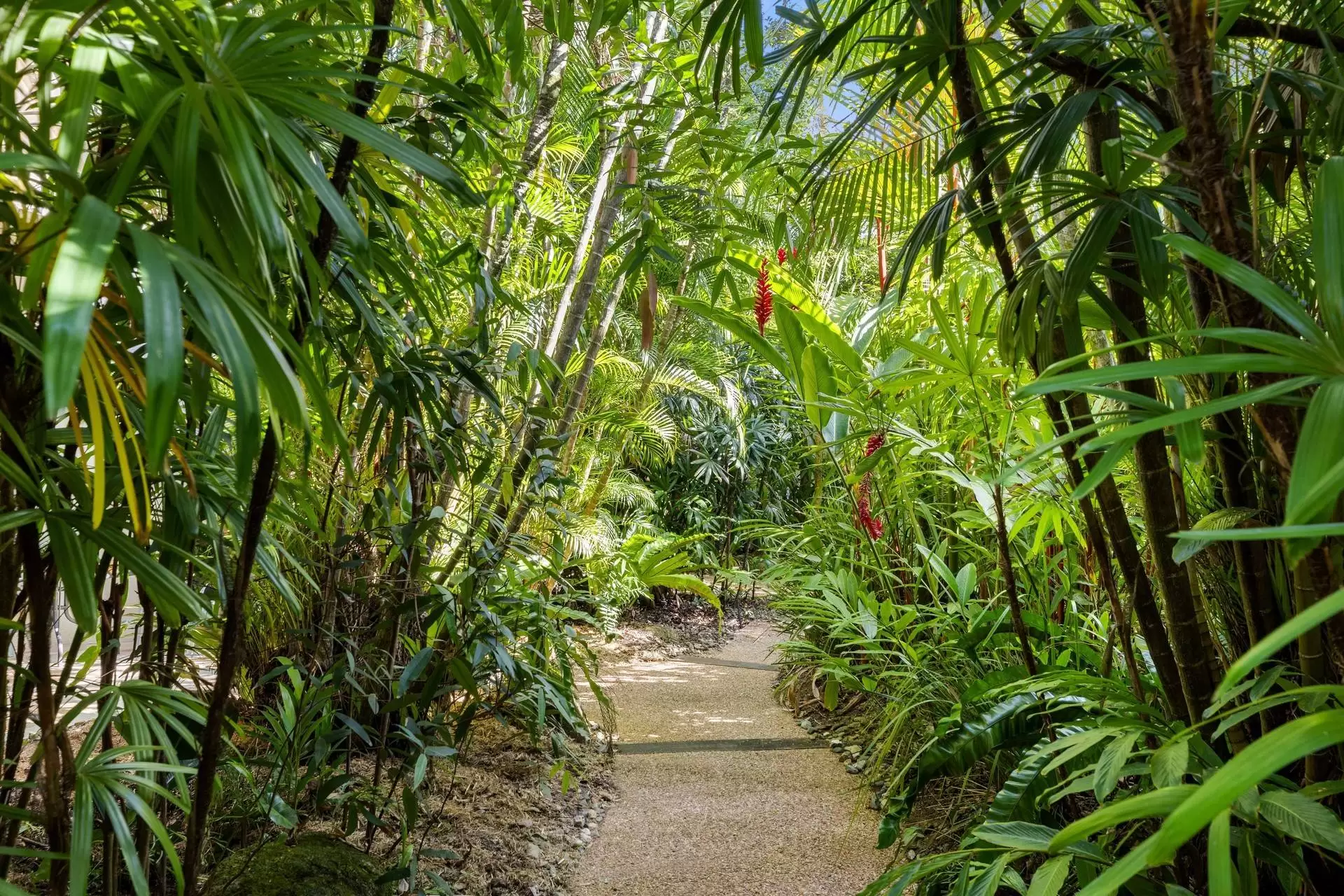 7/18-28 St Crispins Avenue, Port Douglas Sold by Queensland Sotheby's International Realty - image 1