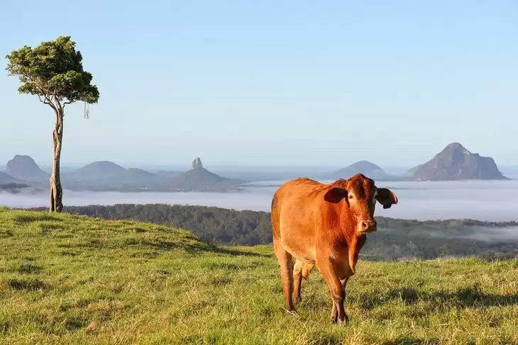 Lot 16,  Bradbury Place, Maleny Sold by Queensland Sotheby's International Realty - image 1