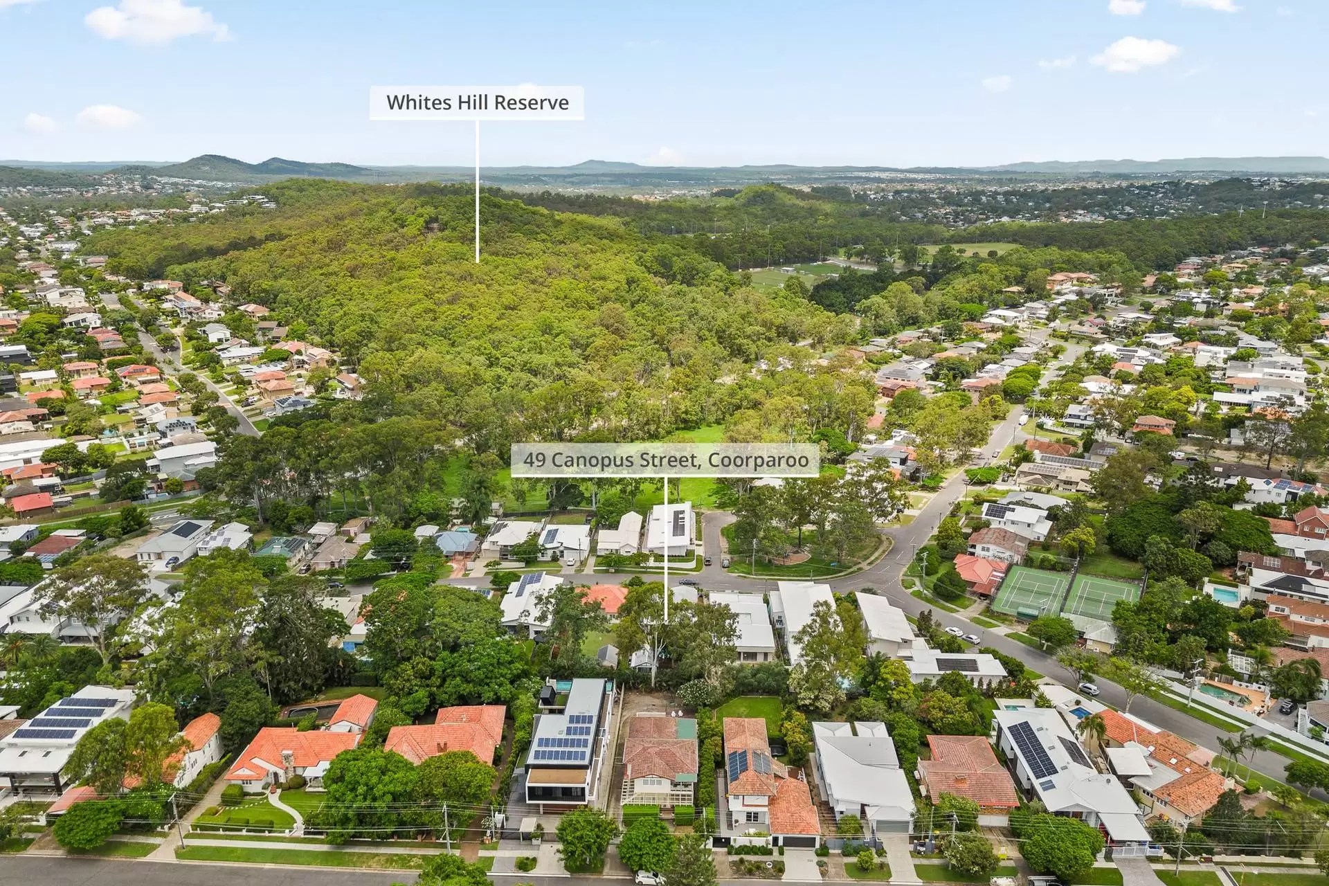 49 Canopus Street, Coorparoo Sold by Queensland Sotheby's International Realty - image 1