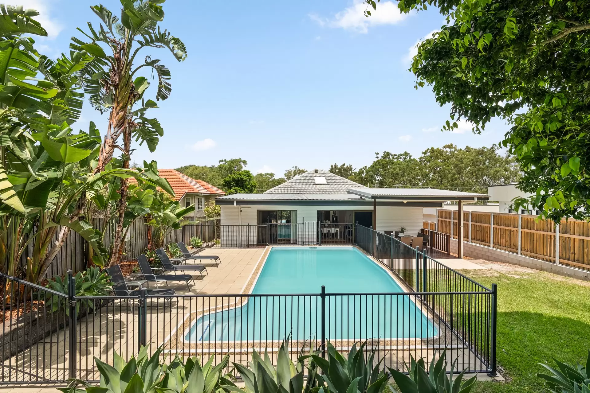 49 Canopus Street, Coorparoo Sold by Queensland Sotheby's International Realty - image 1