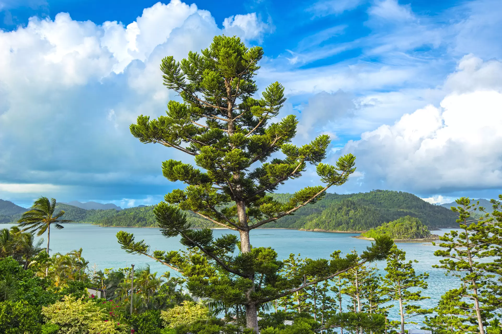 2/14 Whitsunday Boulevard, Hamilton Island Sold by Queensland Sotheby's International Realty - image 1