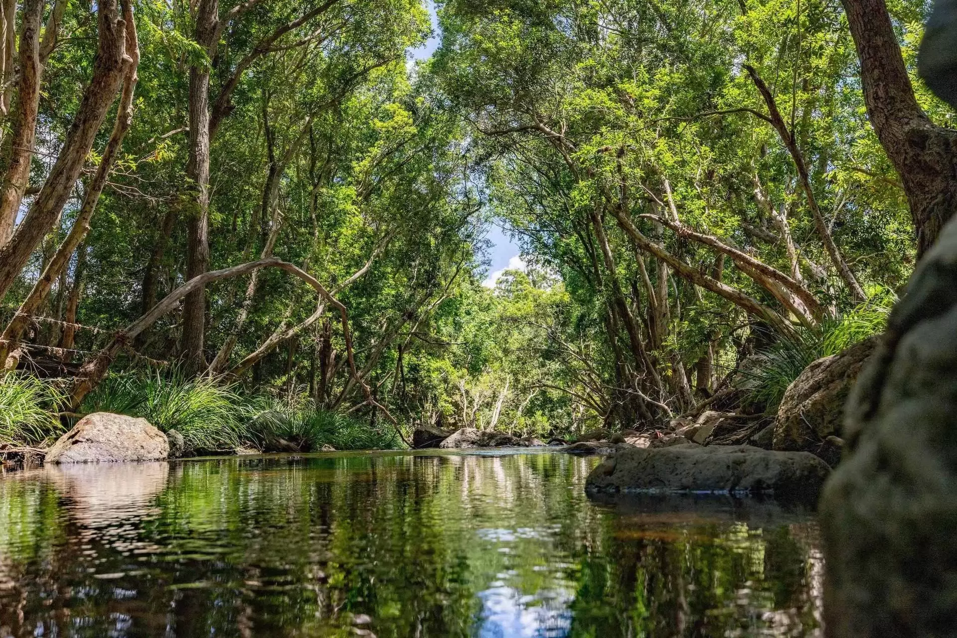 Mount Delaney Sold by Queensland Sotheby's International Realty - image 1