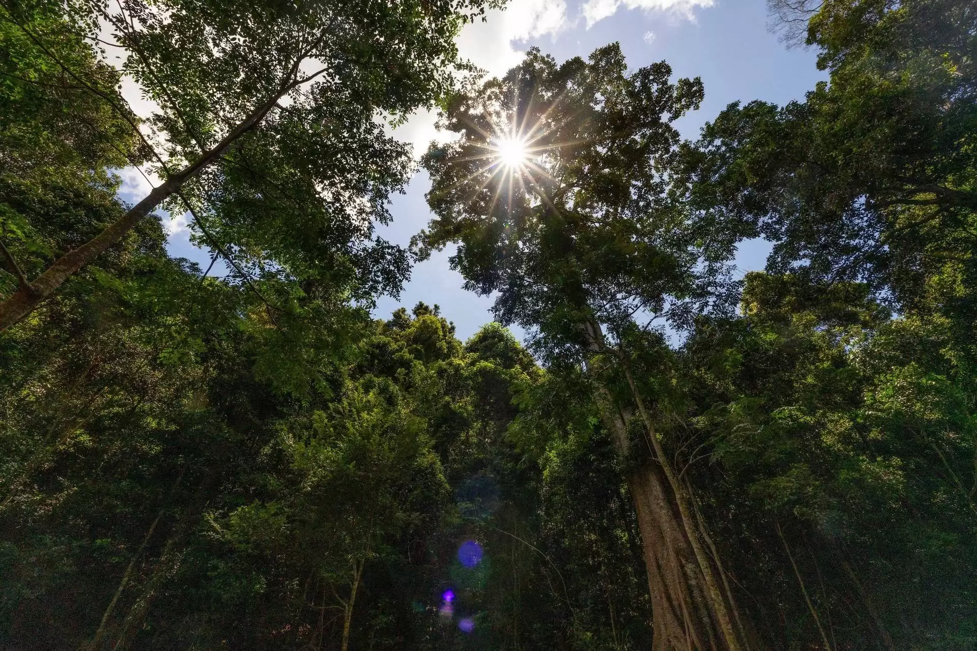 Mount Delaney Sold by Queensland Sotheby's International Realty - image 1