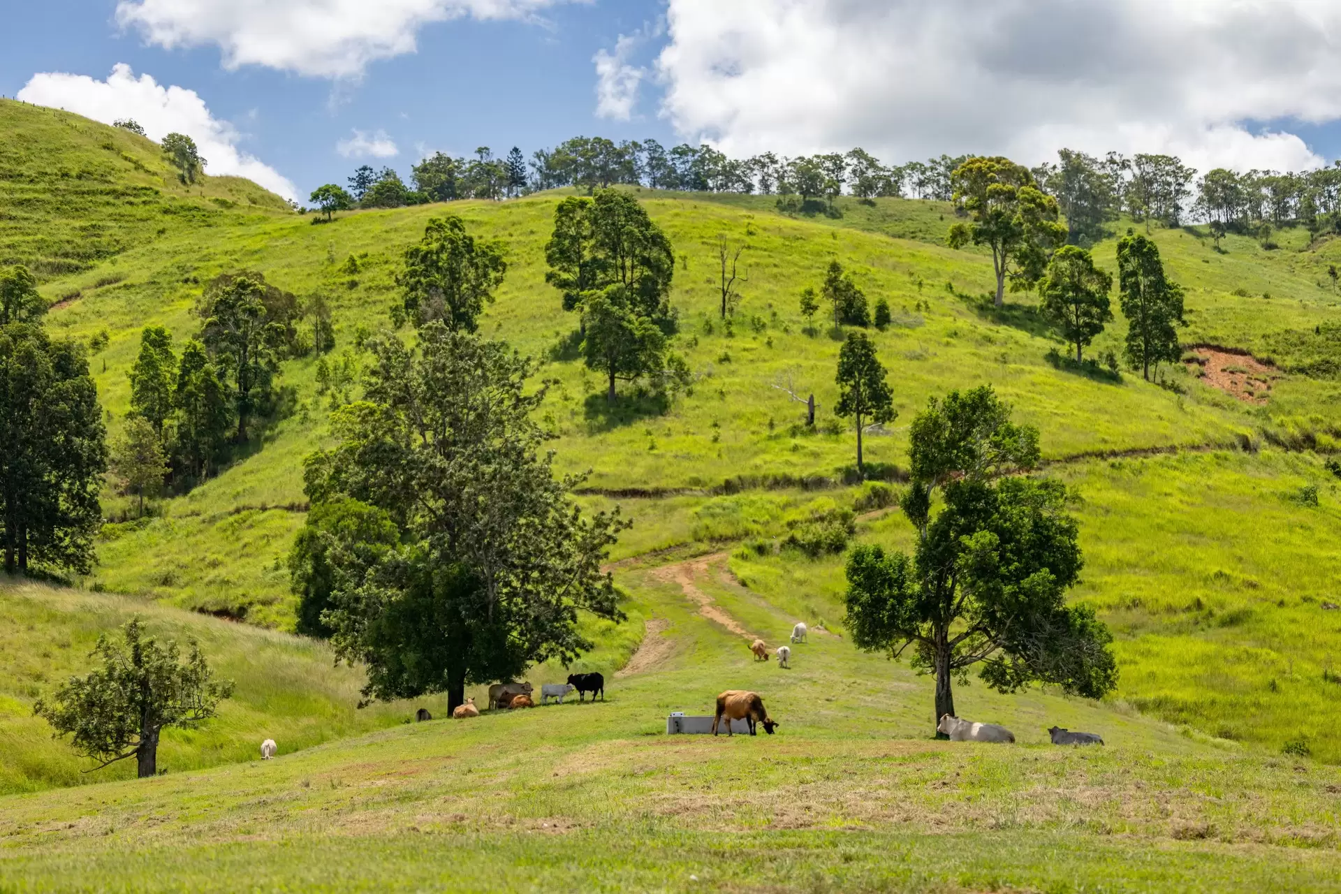 Mount Delaney Sold by Queensland Sotheby's International Realty - image 1