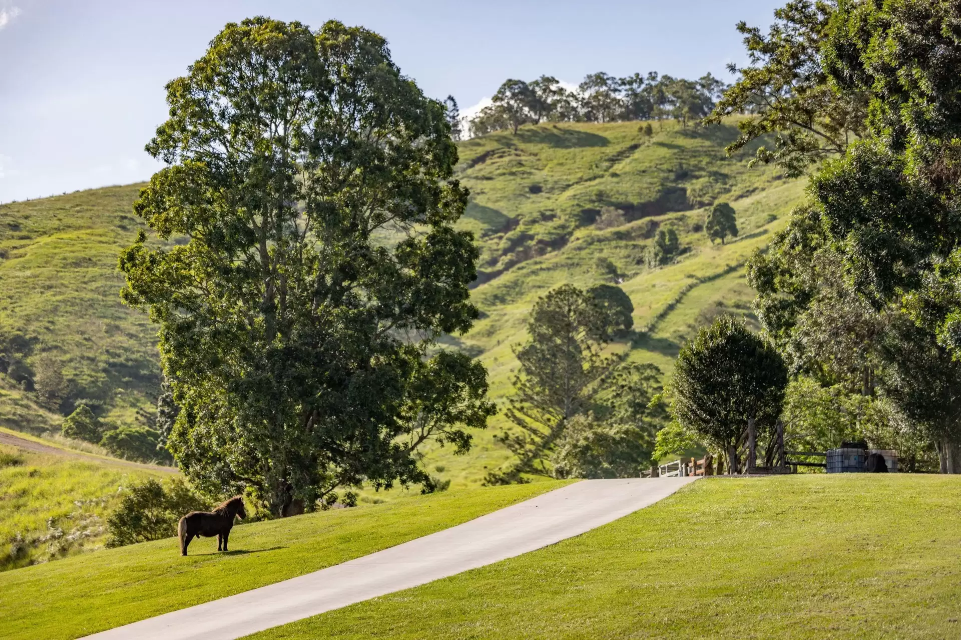 Mount Delaney Sold by Queensland Sotheby's International Realty - image 1