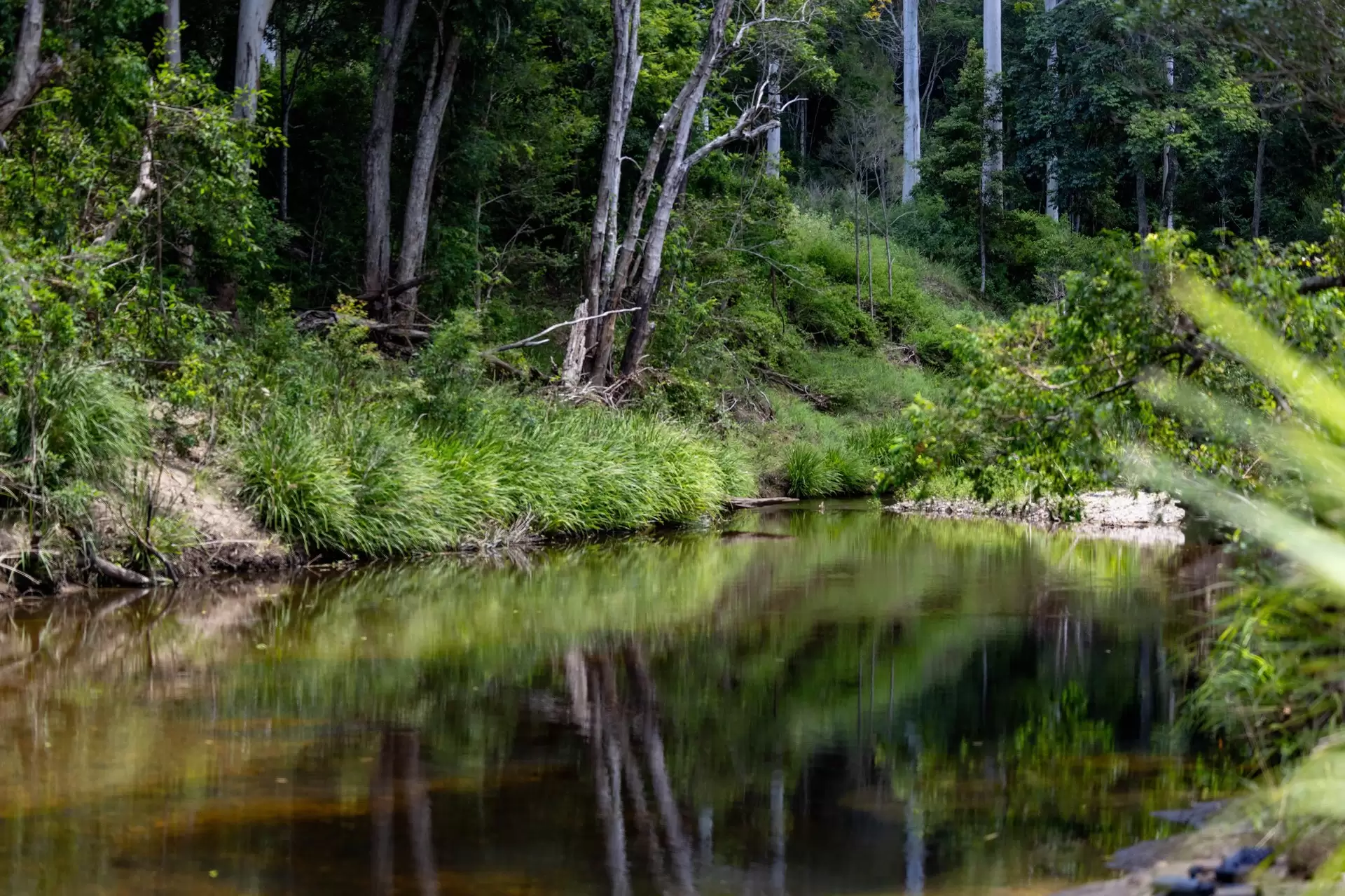 Mount Delaney Sold by Queensland Sotheby's International Realty - image 1