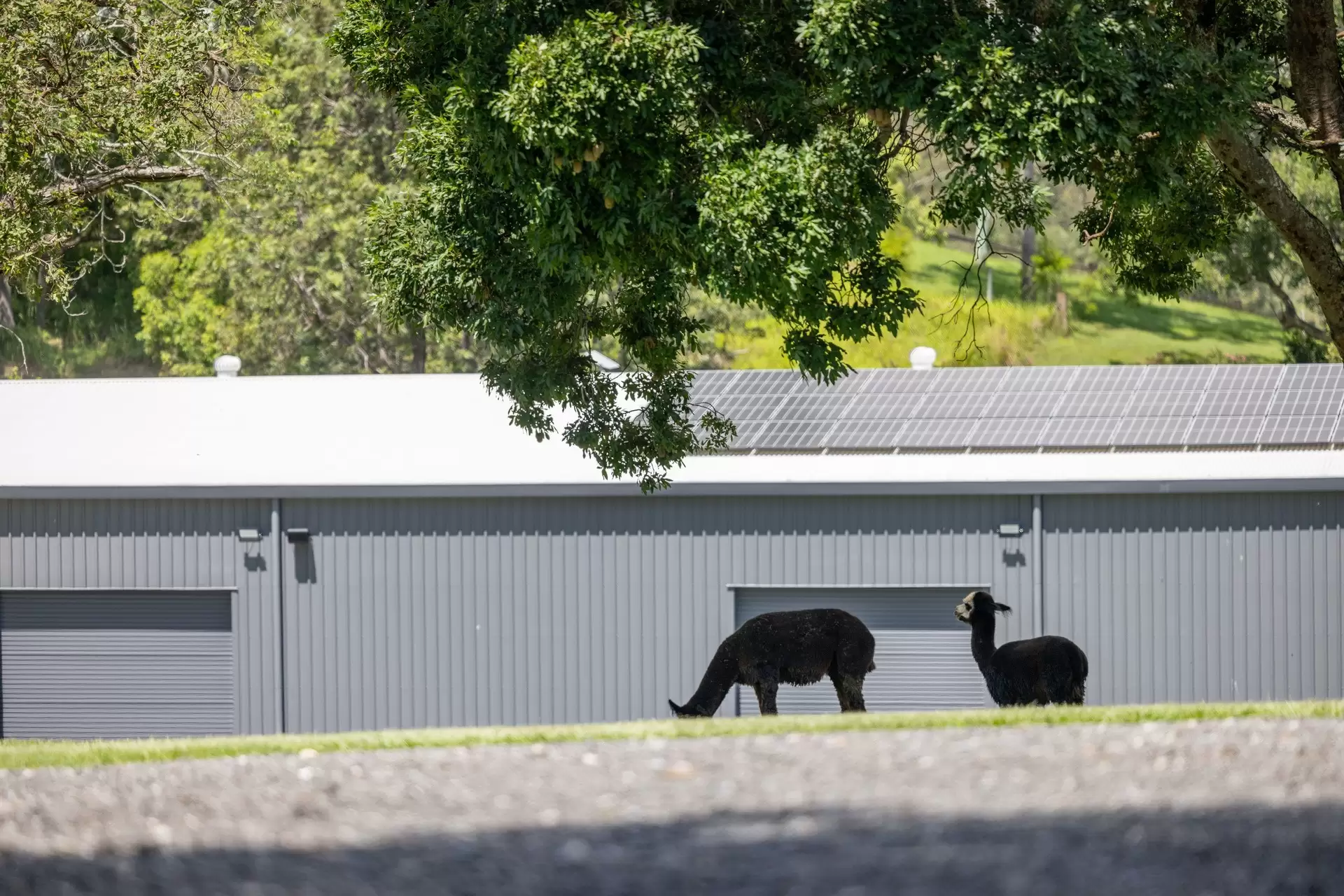 Mount Delaney Sold by Queensland Sotheby's International Realty - image 1