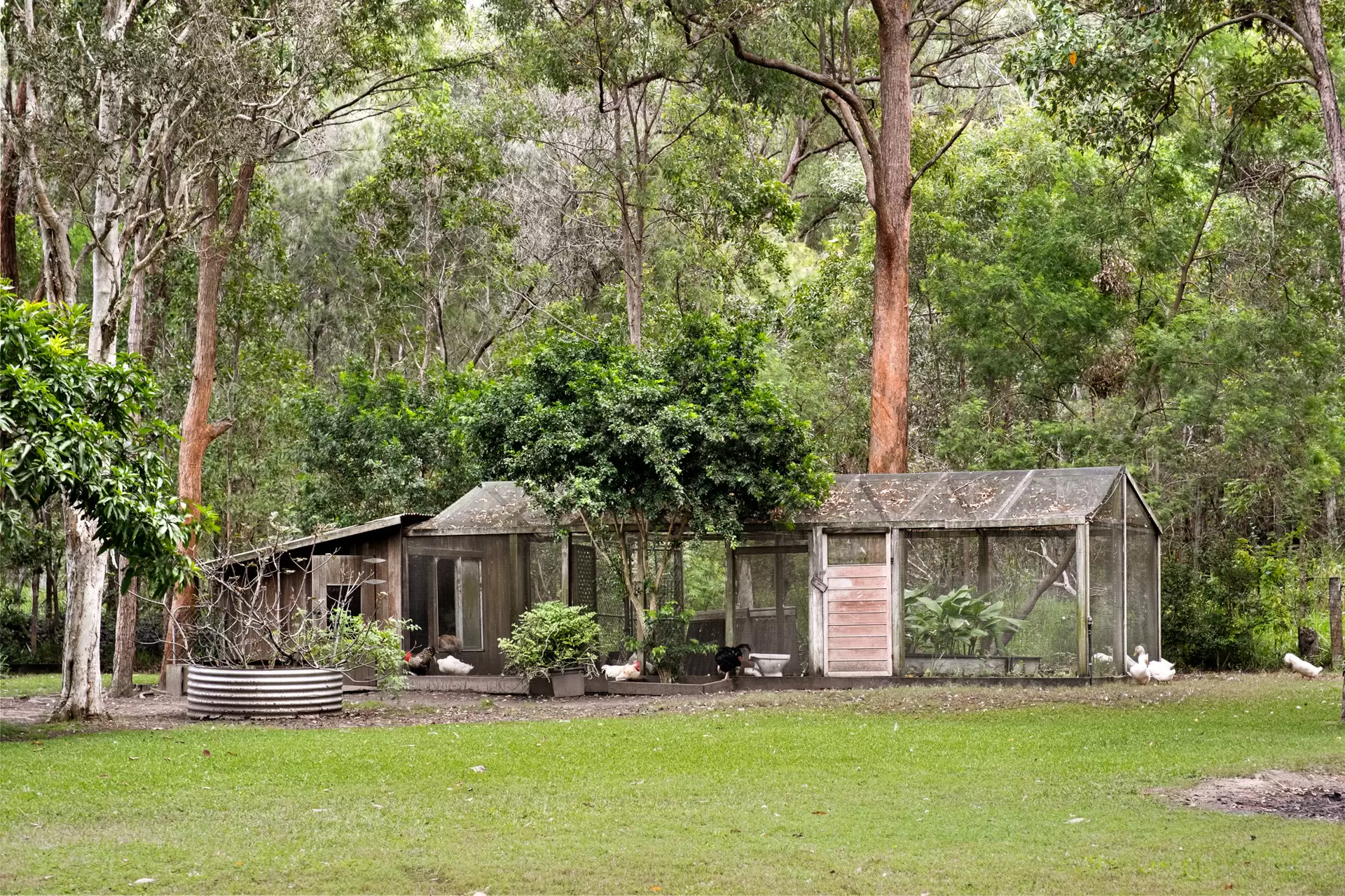 1740 Mt Gravatt Capalaba Road, Chandler Sold by Queensland Sotheby's International Realty - image 1