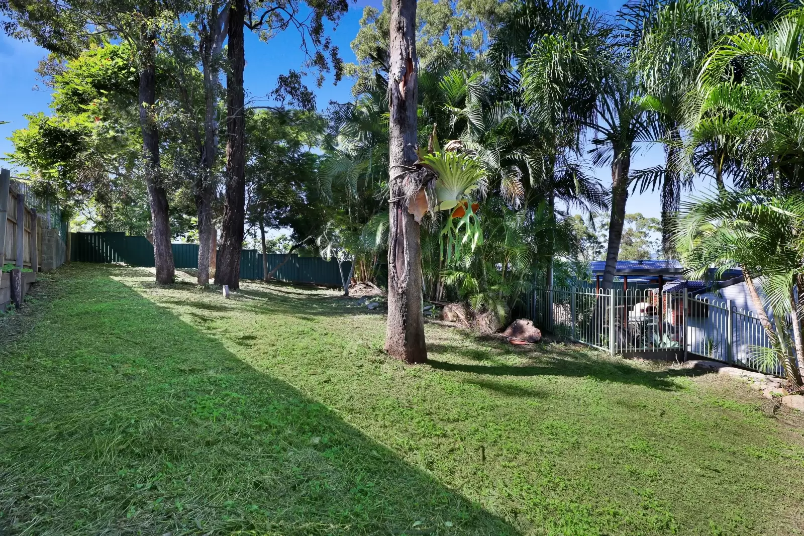 11 Kiowa Drive, Mudgeeraba Sold by Queensland Sotheby's International Realty - image 1