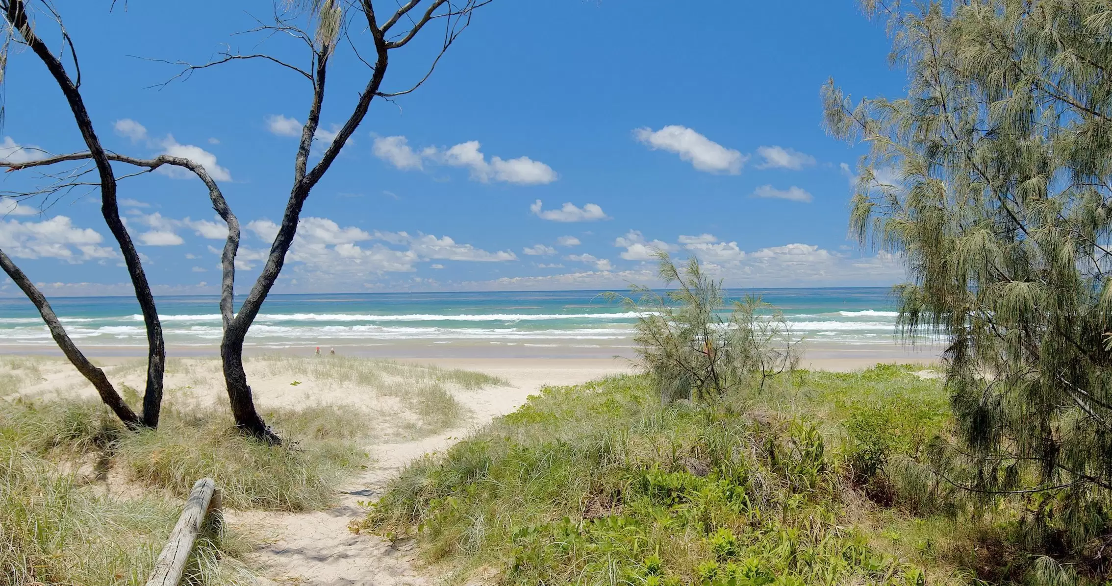 85 Augusta Circuit, Peregian Springs Sold by Queensland Sotheby's International Realty - image 1