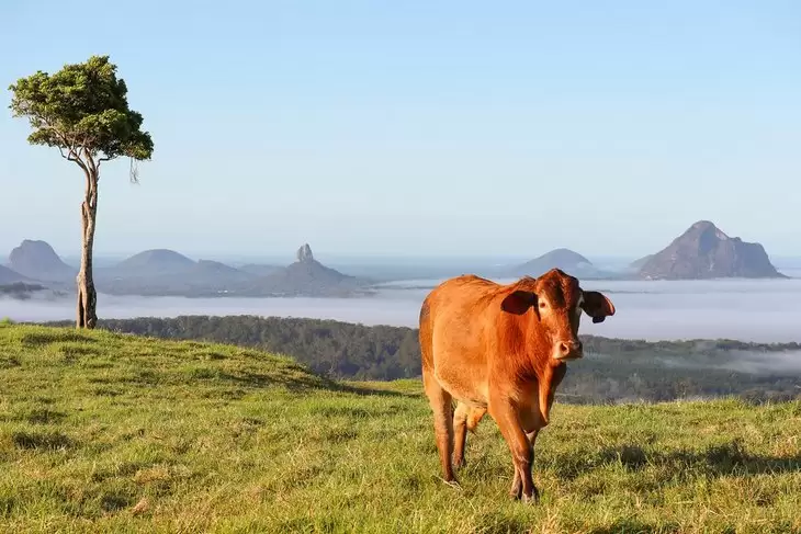 Lot 14 Bradbury Place, Maleny Sold by  - image 1