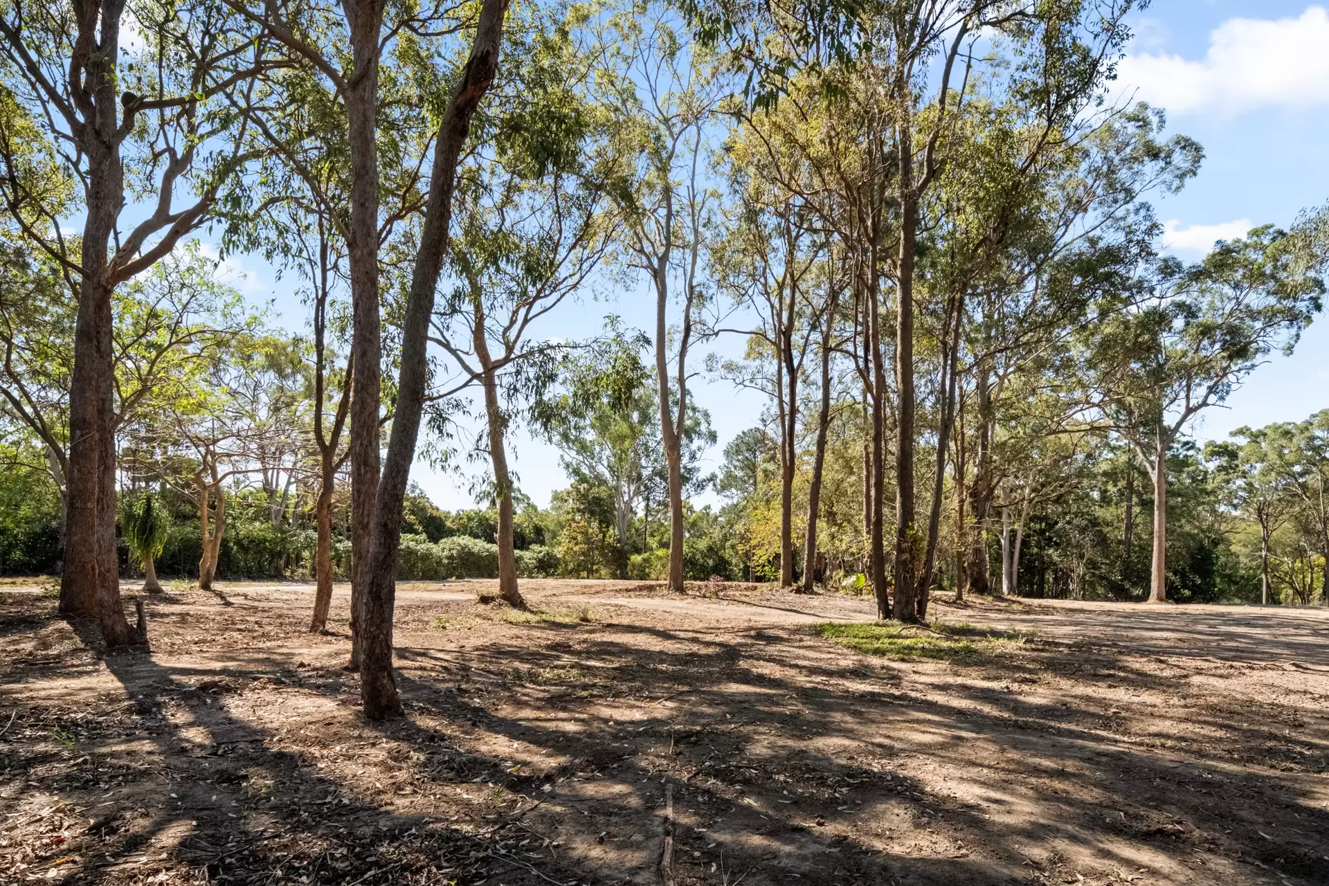 167 Geldart Road, Chandler Sold by Queensland Sotheby's International Realty - image 1