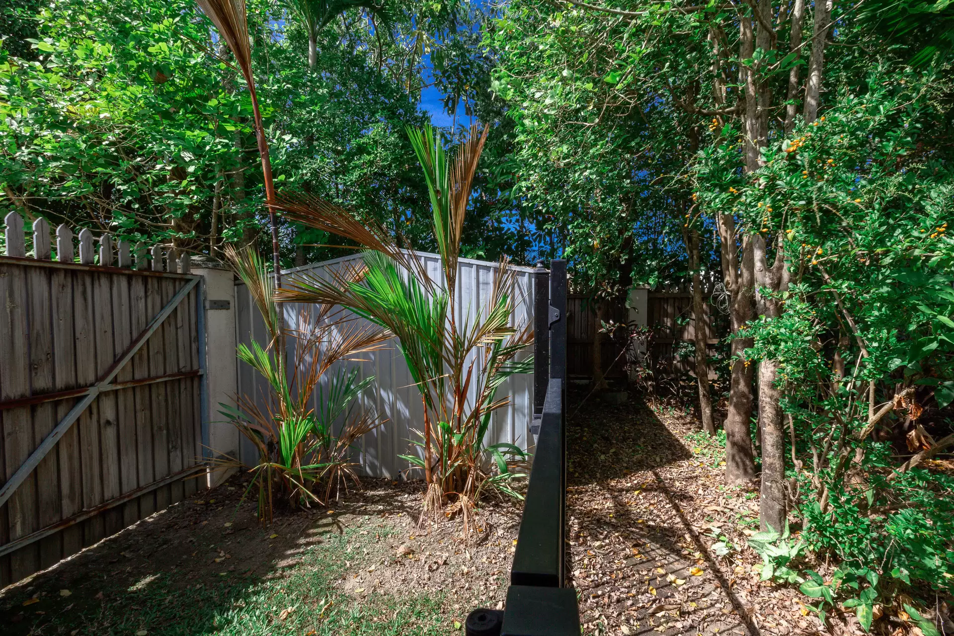 2 Lorikeet Close, Port Douglas Sold by Queensland Sotheby's International Realty - image 1