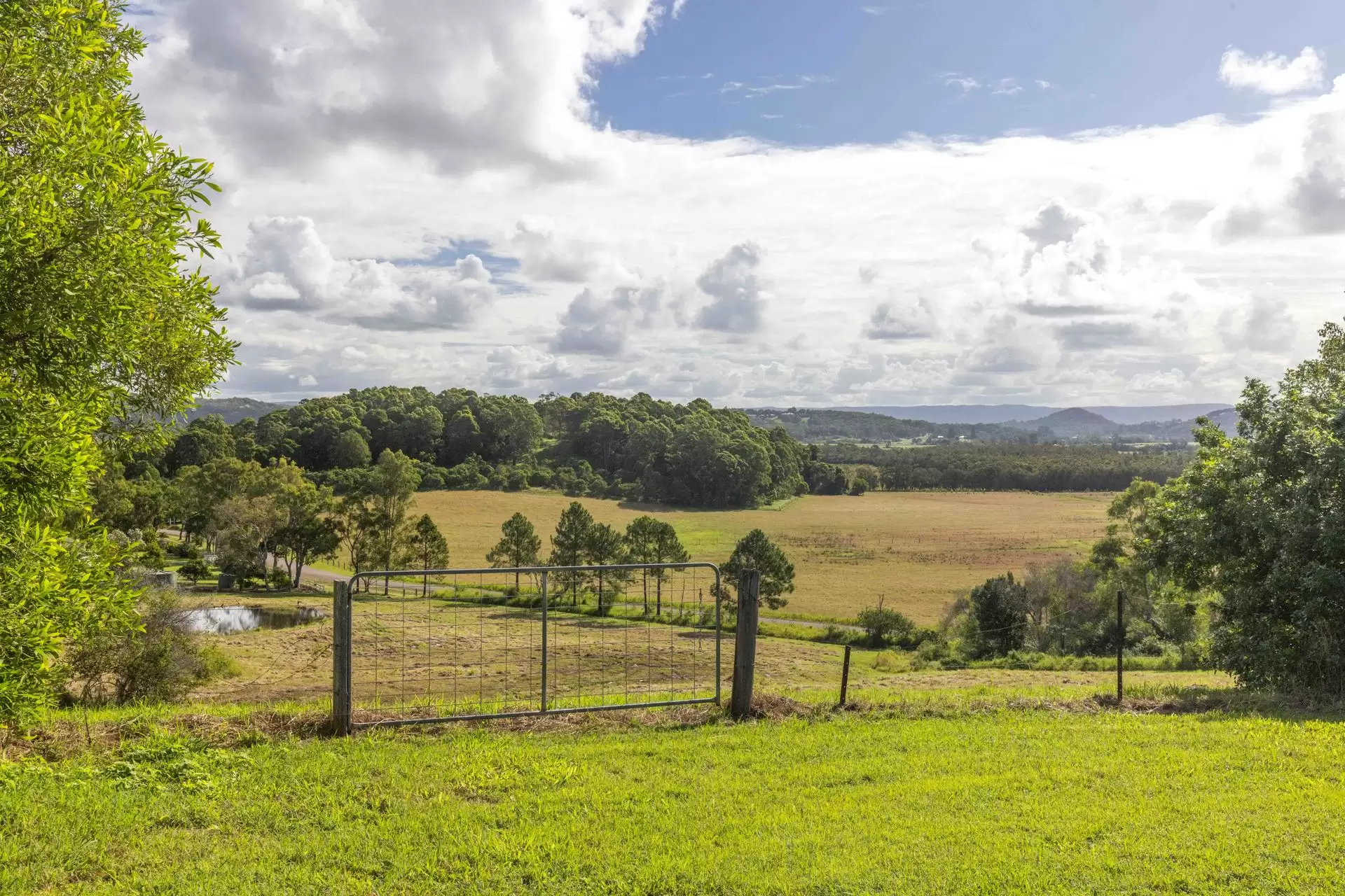 51 Twin Peaks Road, Bli Bli Sold by Queensland Sotheby's International Realty - image 1