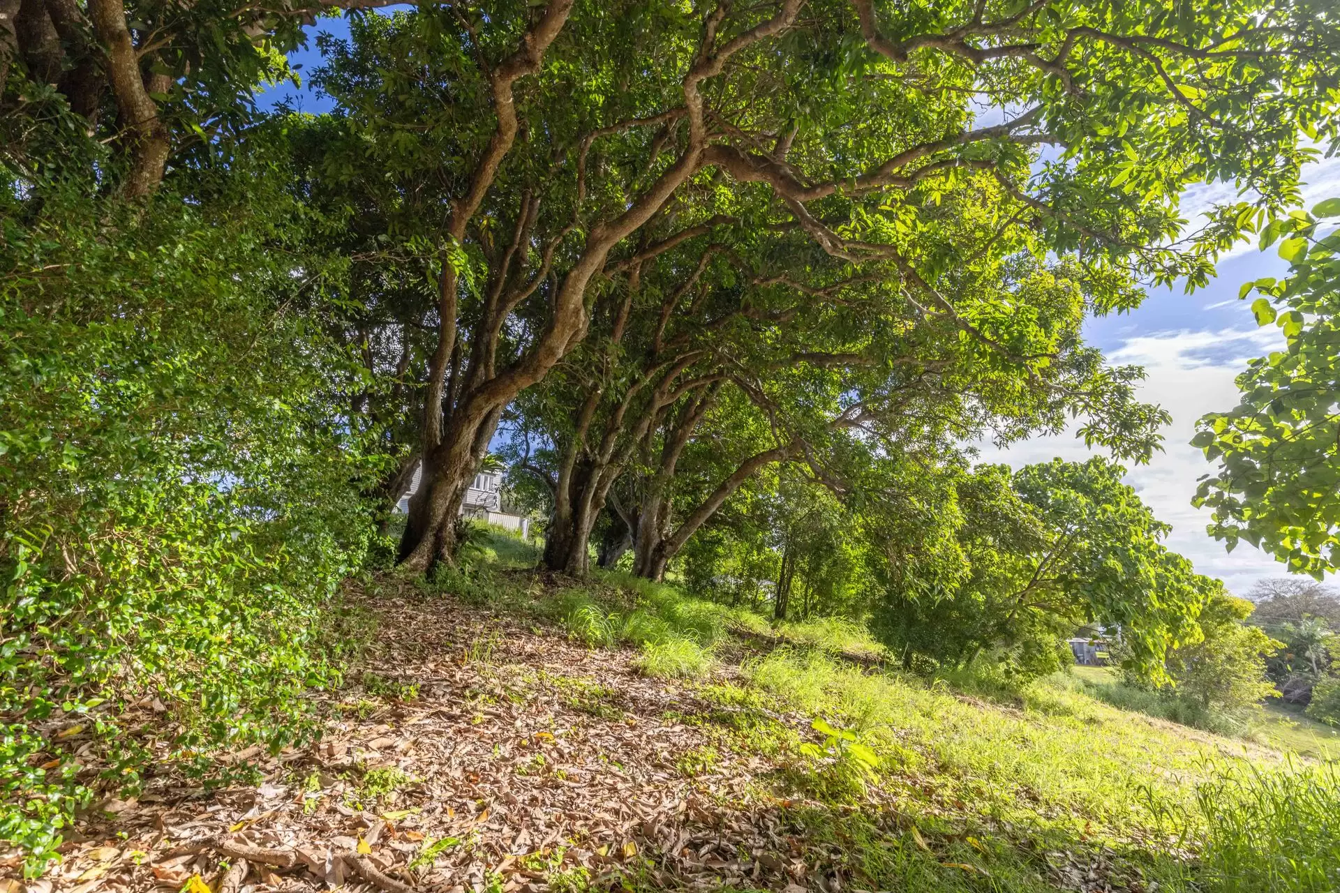 51 Twin Peaks Road, Bli Bli Sold by Queensland Sotheby's International Realty - image 1