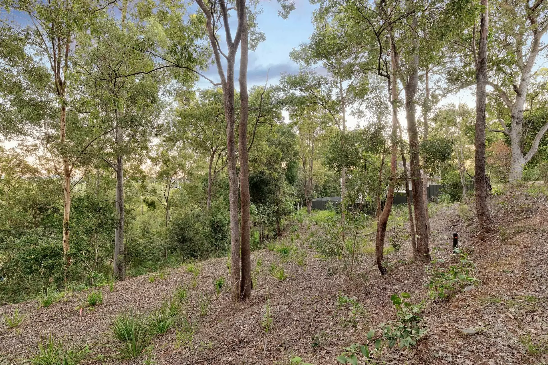 553 Fig Tree Pocket Road, Fig Tree Pocket Sold by Queensland Sotheby's International Realty - image 1