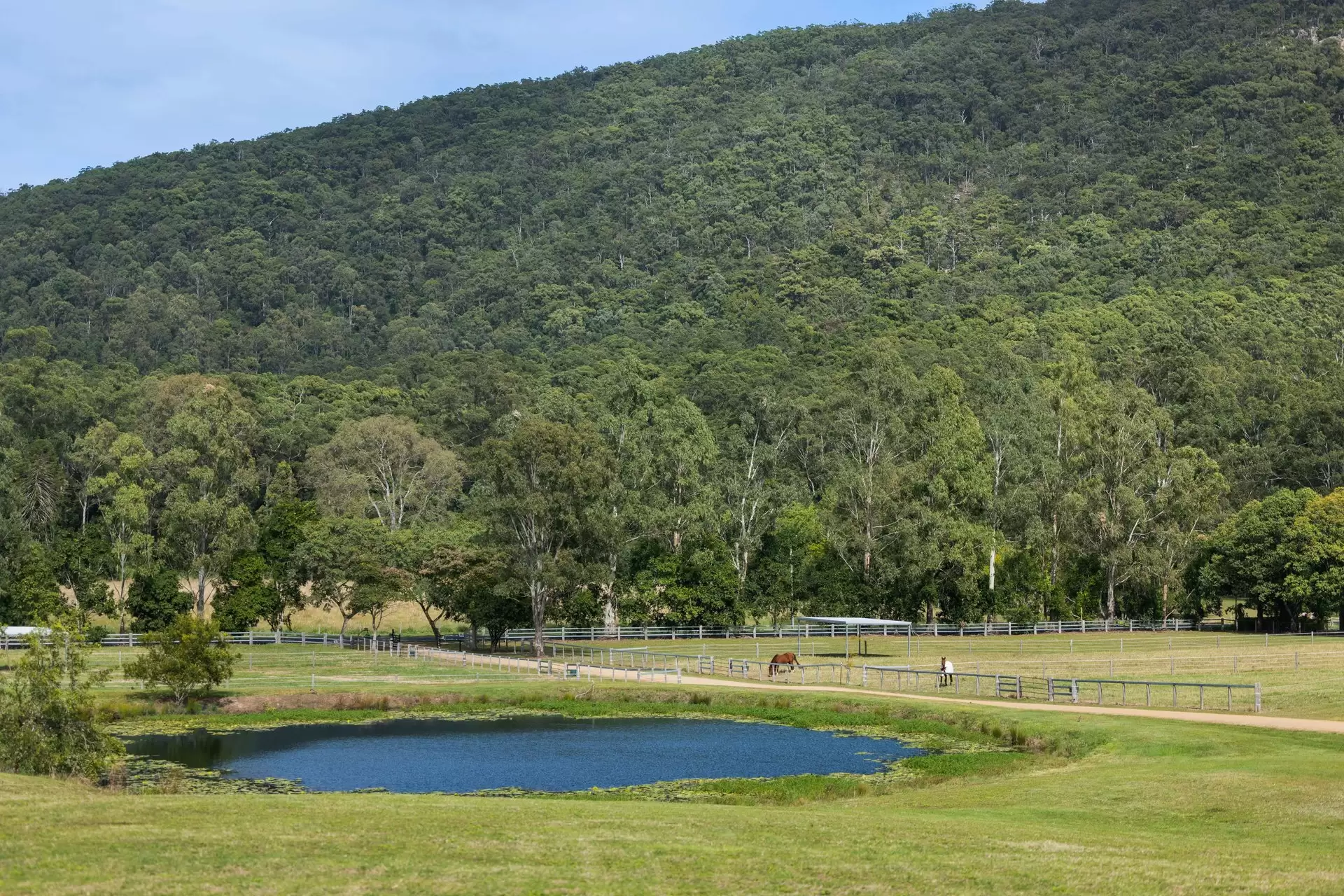 505 Gold Creek Road, Eerwah Vale Sold by Queensland Sotheby's International Realty - image 1