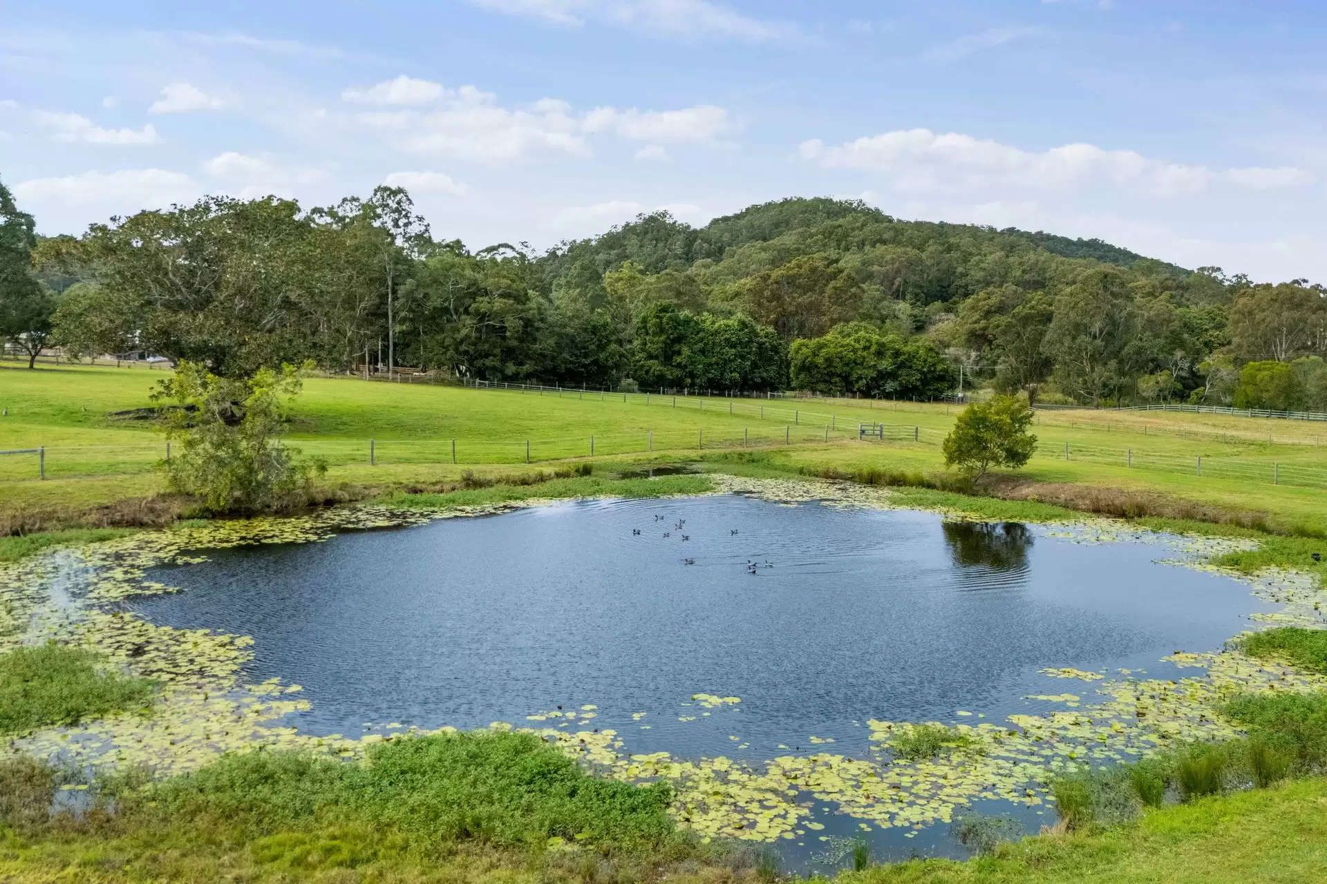 505 Gold Creek Road, Eerwah Vale Sold by Queensland Sotheby's International Realty - image 1